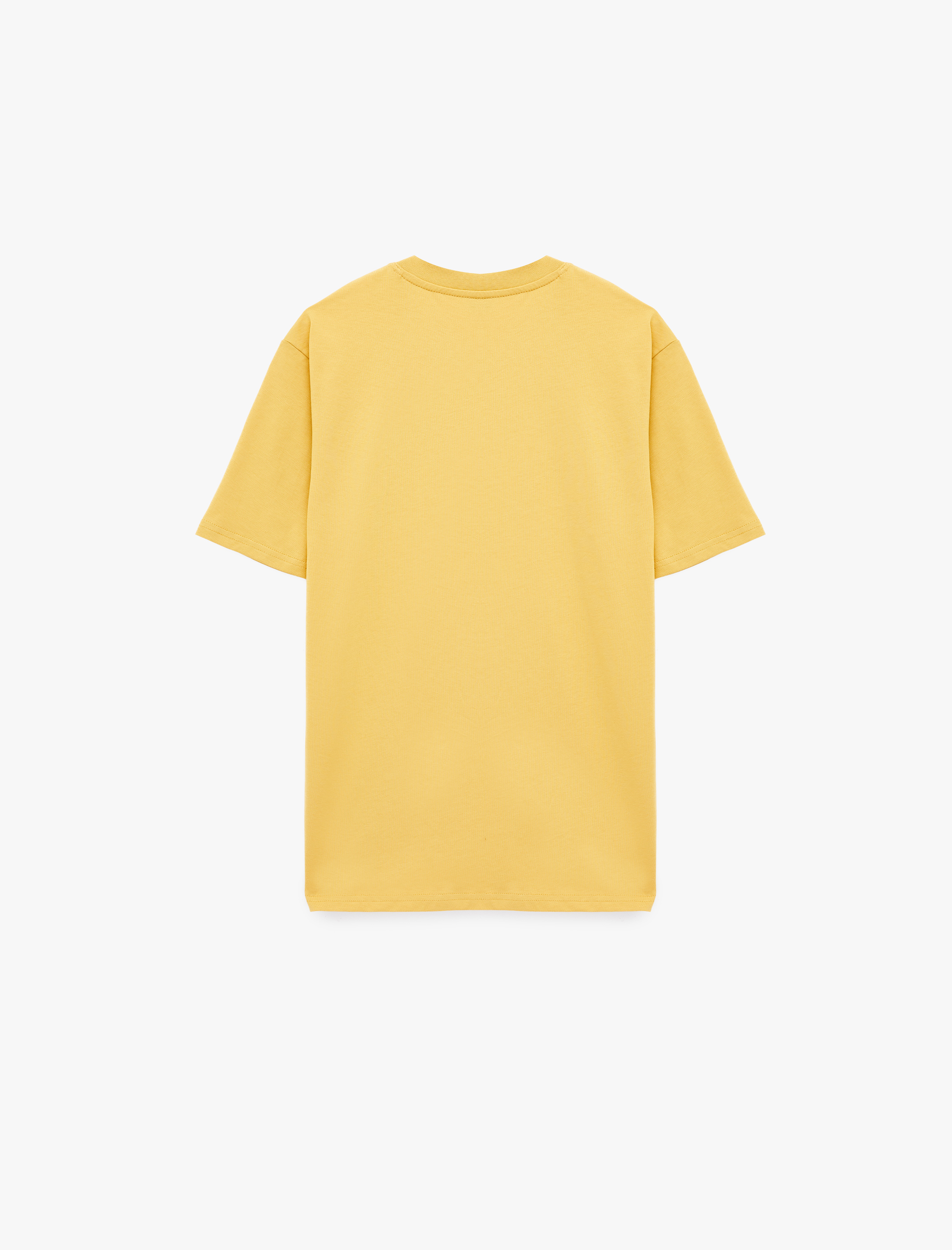   Regular Fit Bisiklet Yaka Pamuklu Basic Kısa Kollu Tişört