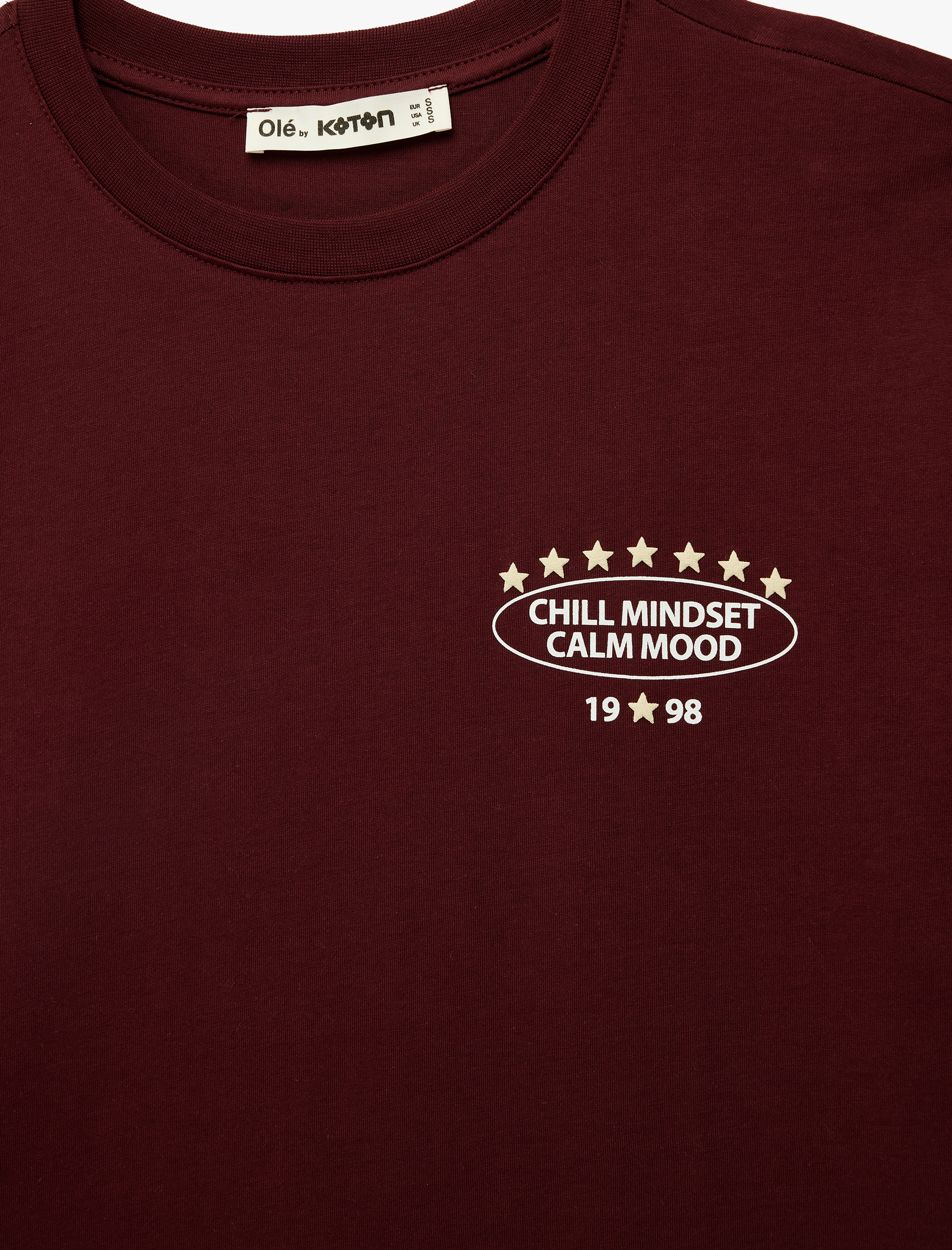   Rahat Kalıp Bisiklet Yaka Kısa Kollu Pamuklu Arkası Baskılı Tişört