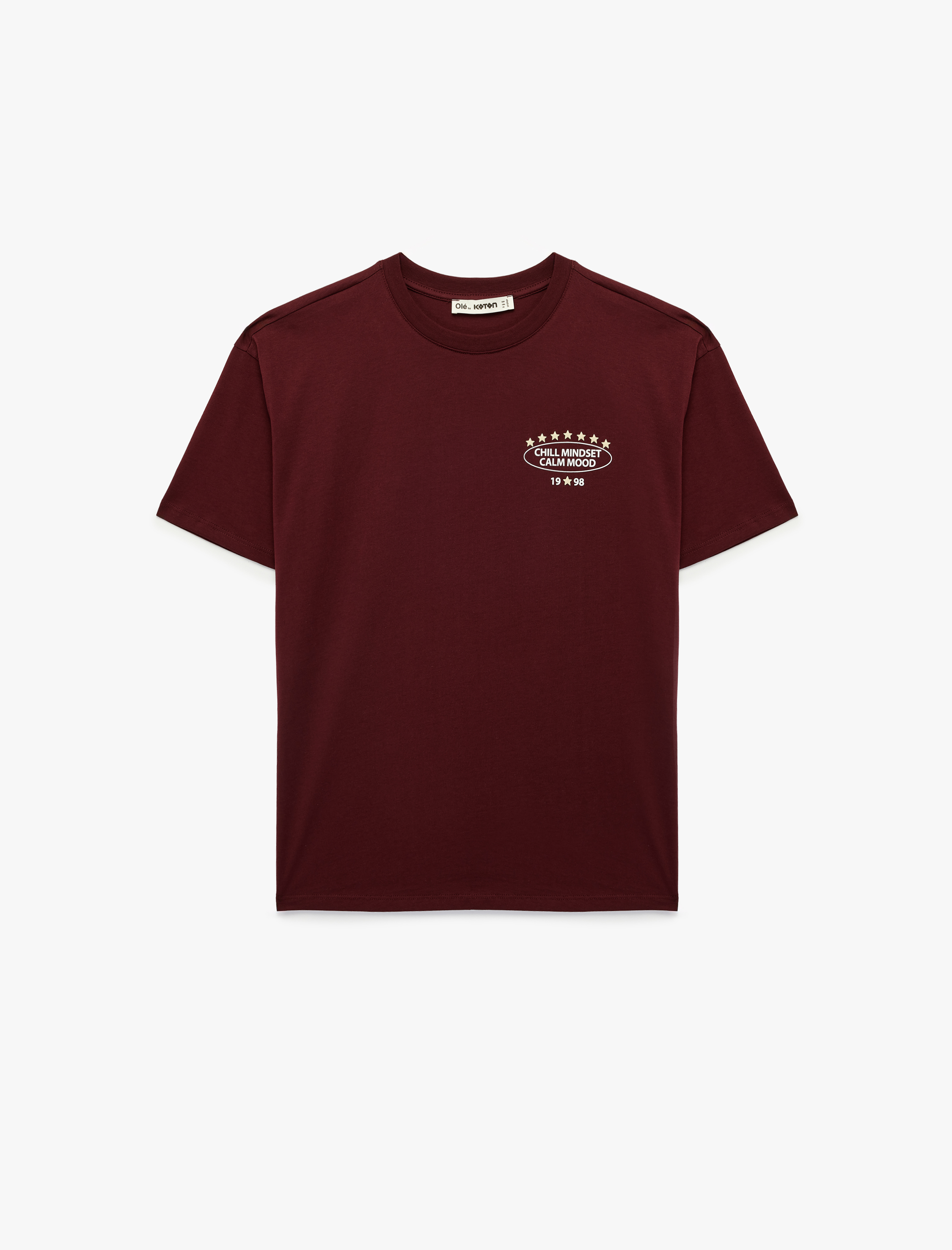   Rahat Kalıp Bisiklet Yaka Kısa Kollu Pamuklu Arkası Baskılı Tişört