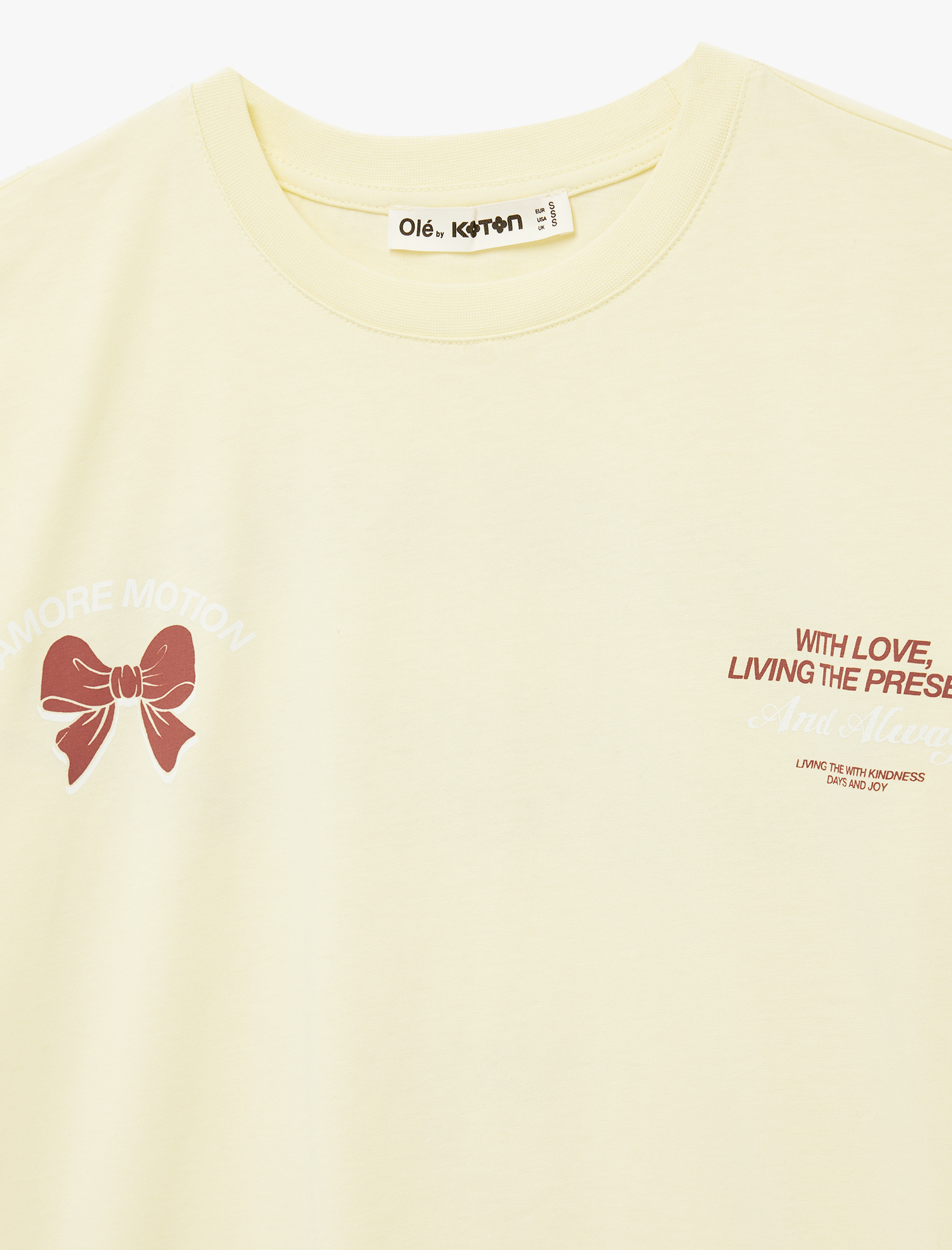   Kısa Kollu Bisiklet Yaka Fiyonklu Arkası Baskılı Oversize Tişört