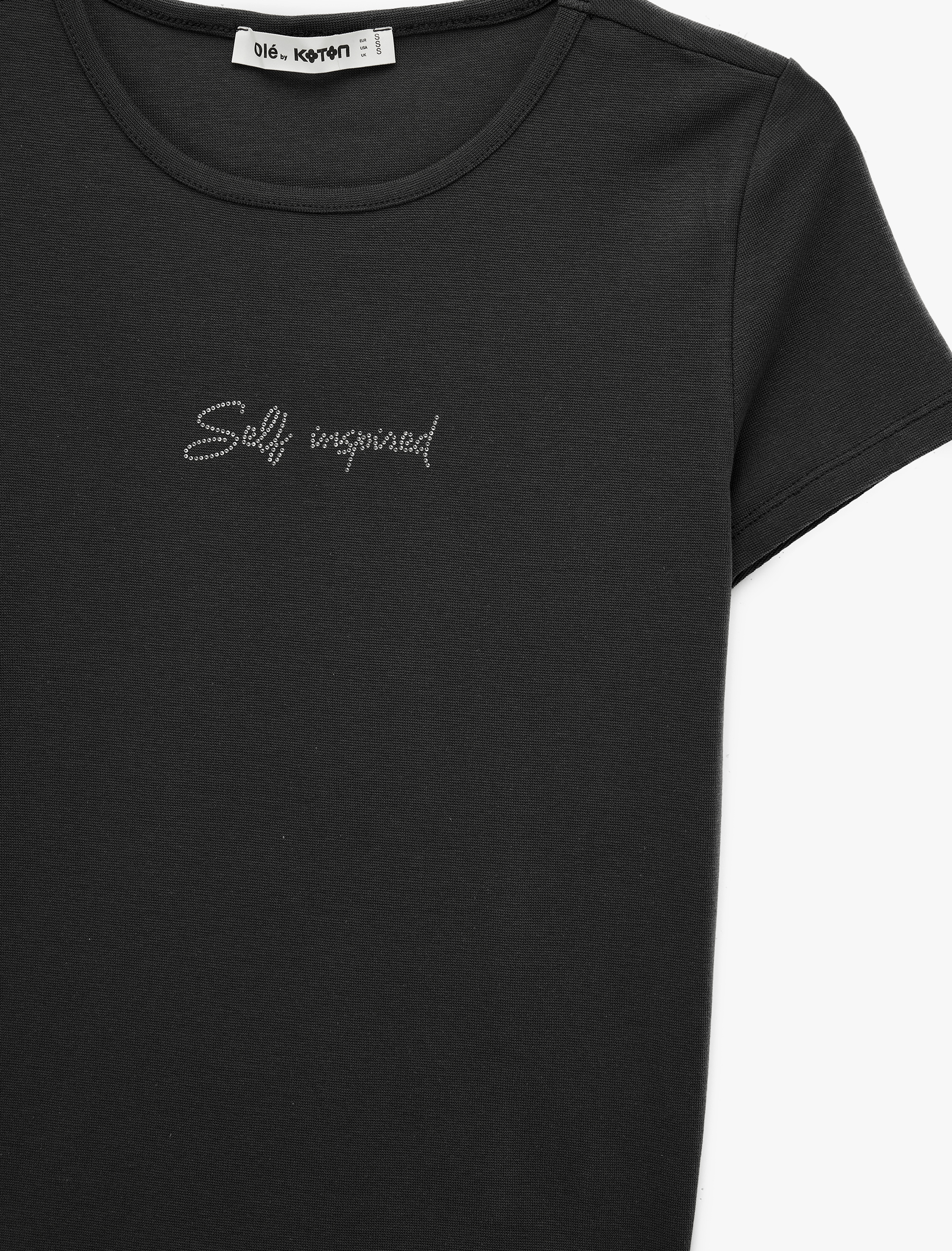   Slim Fit Kısa Kollu Bisiklet Yaka Pamuklu Taş Detaylı Tişört