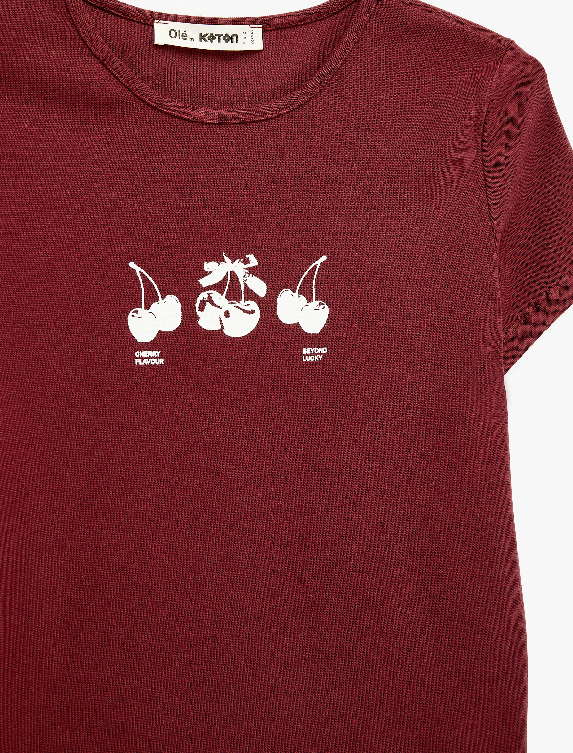   Slim Fit Kısa Kollu Bisiklet Yaka Pamuklu Kiraz Baskılı Tişört