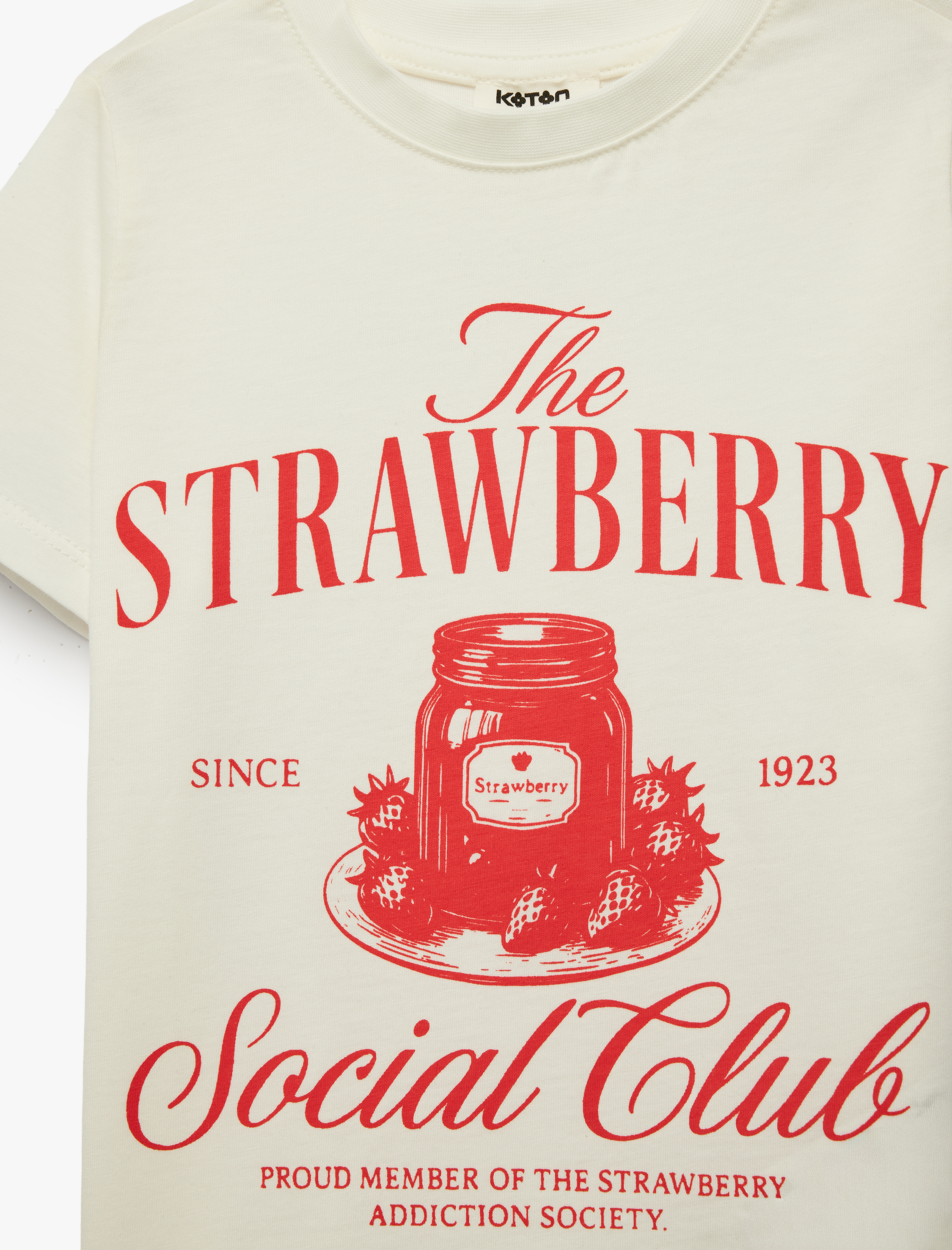  Kız Çocuk Baskılı Kısa Kollu Bisiklet Yaka Pamuklu Çilek Baskılı Tişört