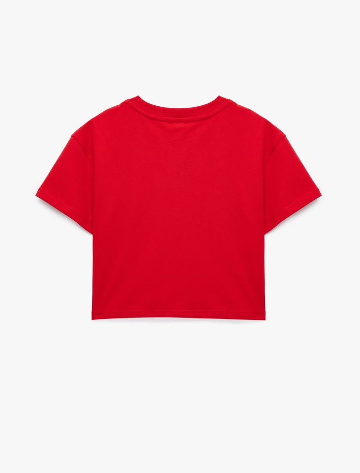 Kız Çocuk Kısa Kollu Bisiklet Yaka Pamuklu Tavşan Nakışlı Tişört