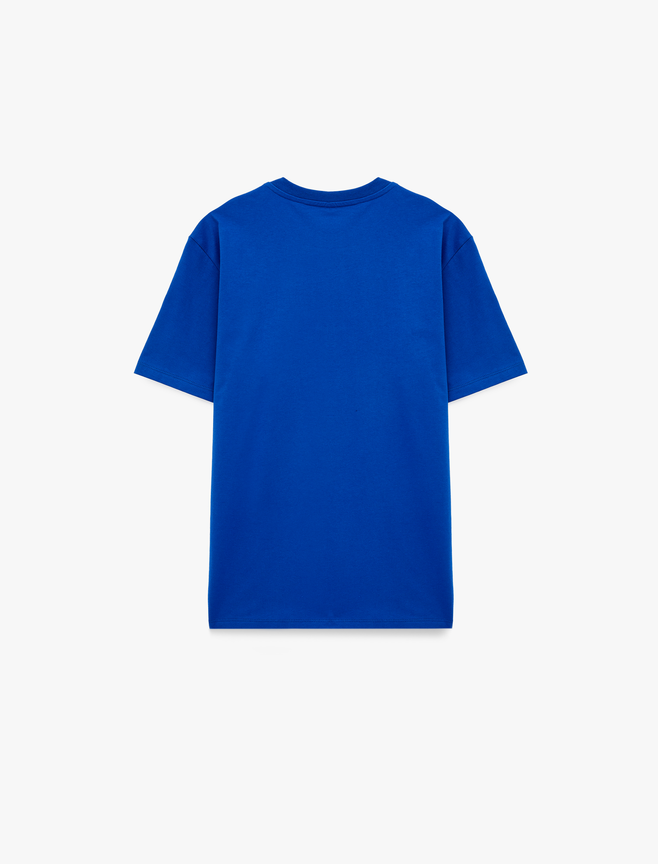   Regular Fit Kısa Kollu Pamuklu Bisiklet Yaka Basic Spor Tişört