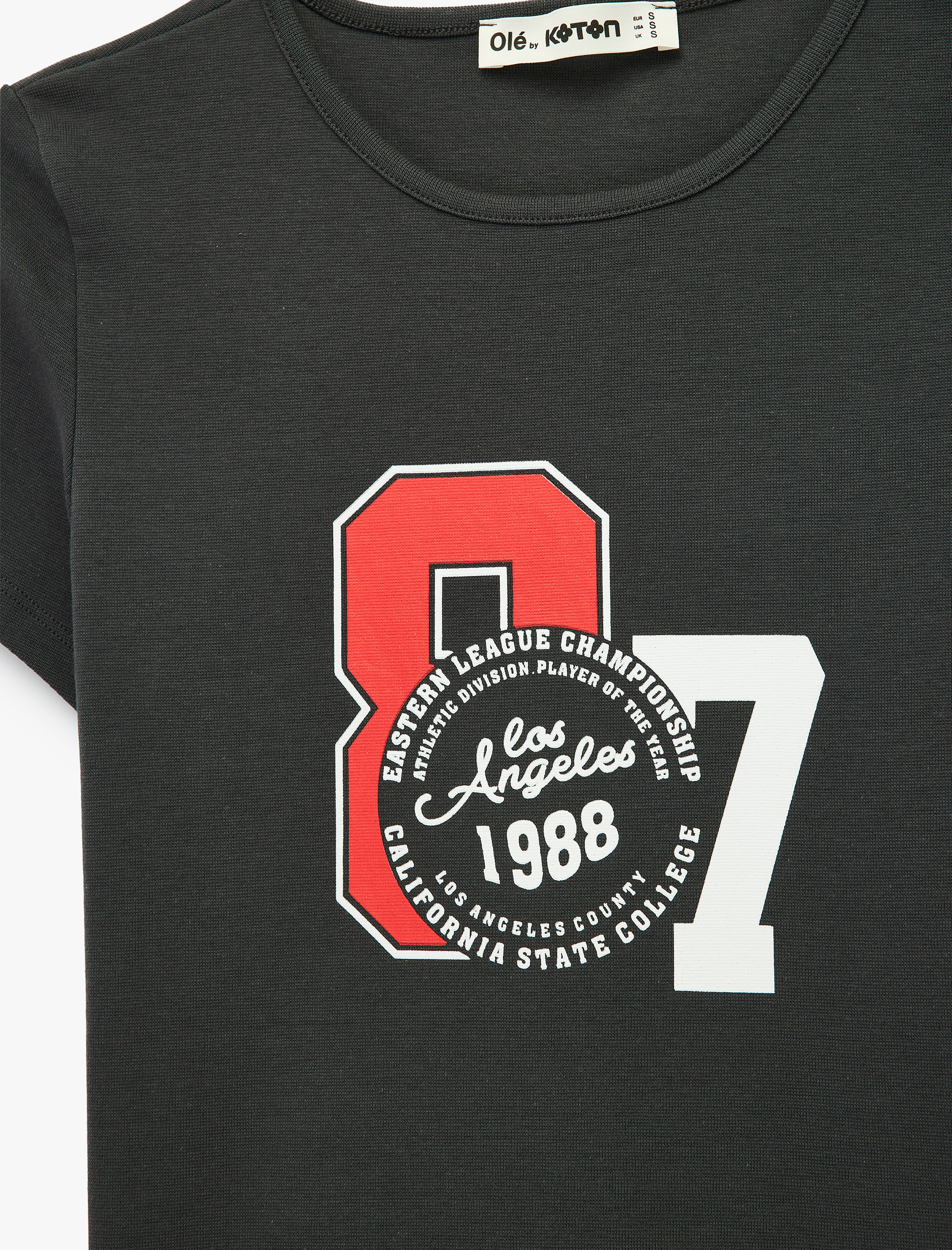   Baskılı Slim Fit Kısa Kollu Bisiklet Yaka Tişört