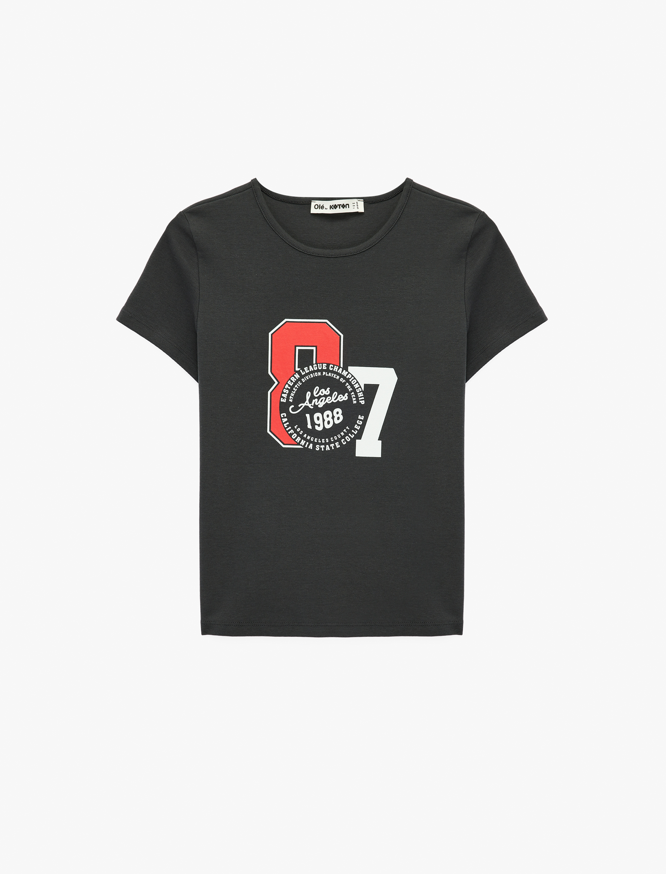   Baskılı Slim Fit Kısa Kollu Bisiklet Yaka Tişört