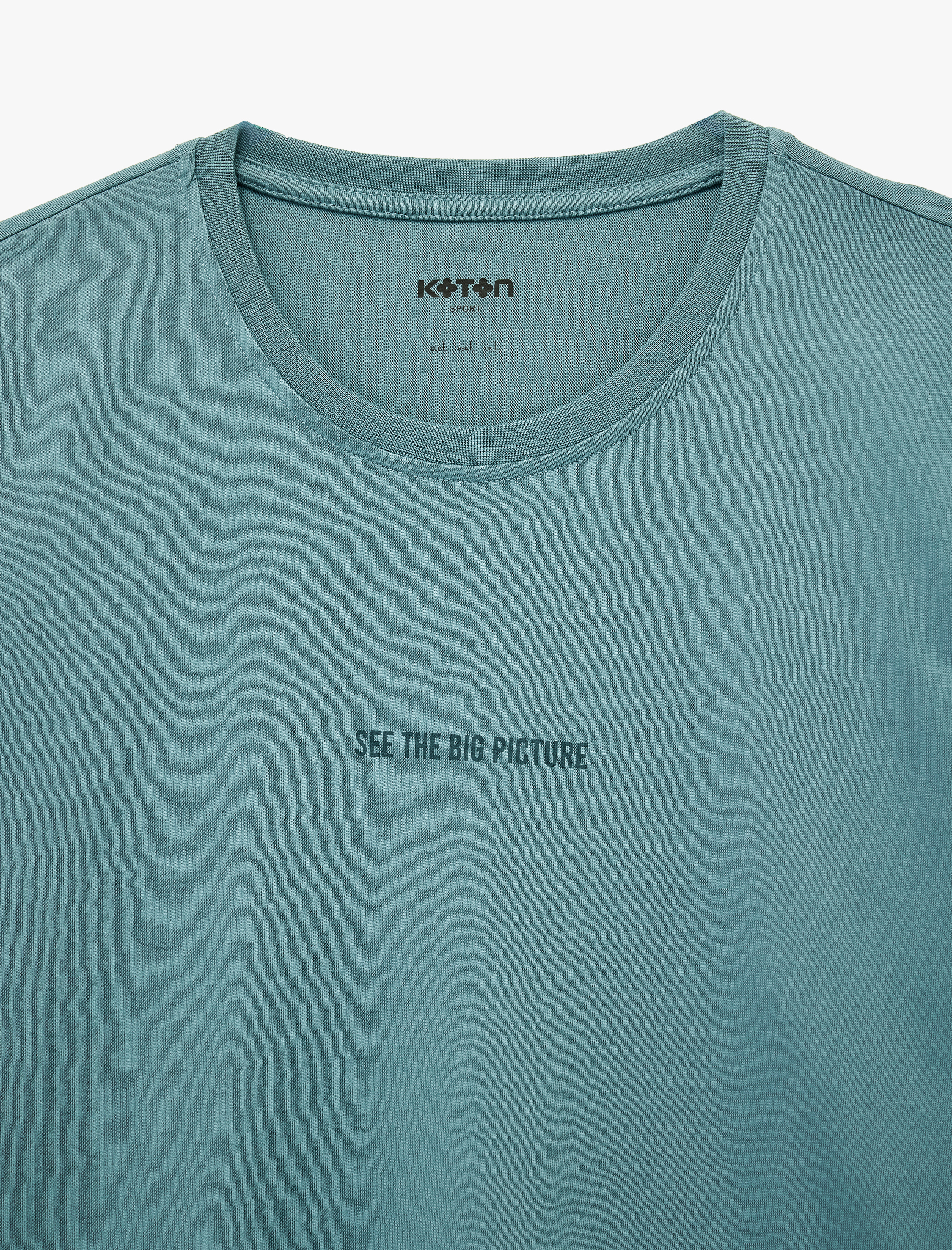   Kısa Kollu Regular Fit Bisiklet Yaka Pamuklu Baskılı Spor Tişört