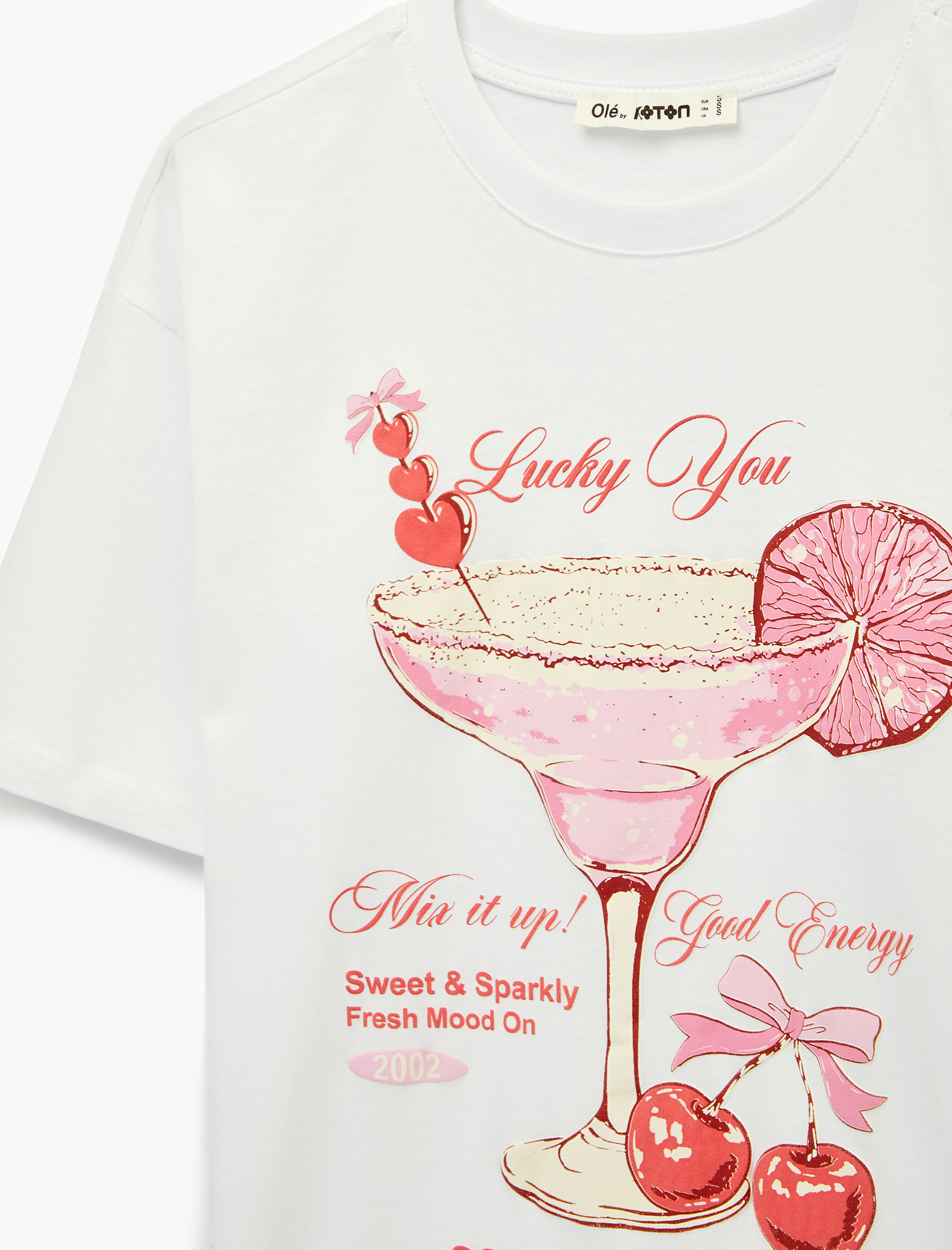   Rahat Kalıp Kısa Kollu Bisiklet Yaka Pamuklu Kiraz Baskılı Tişört