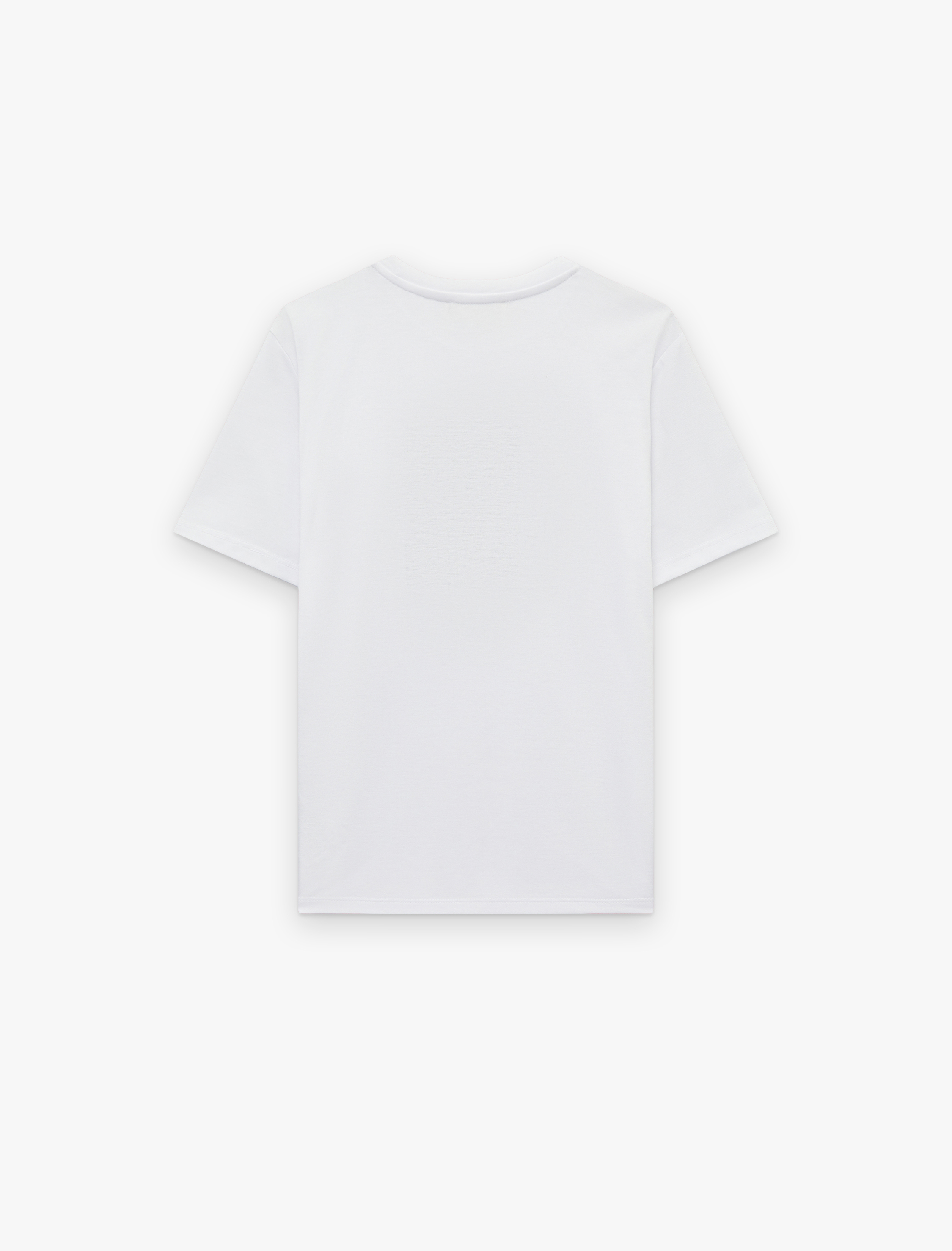   Regular Fit Bisiklet Yaka Kısa Kollu Simli Taşlı Baskılı Tişört