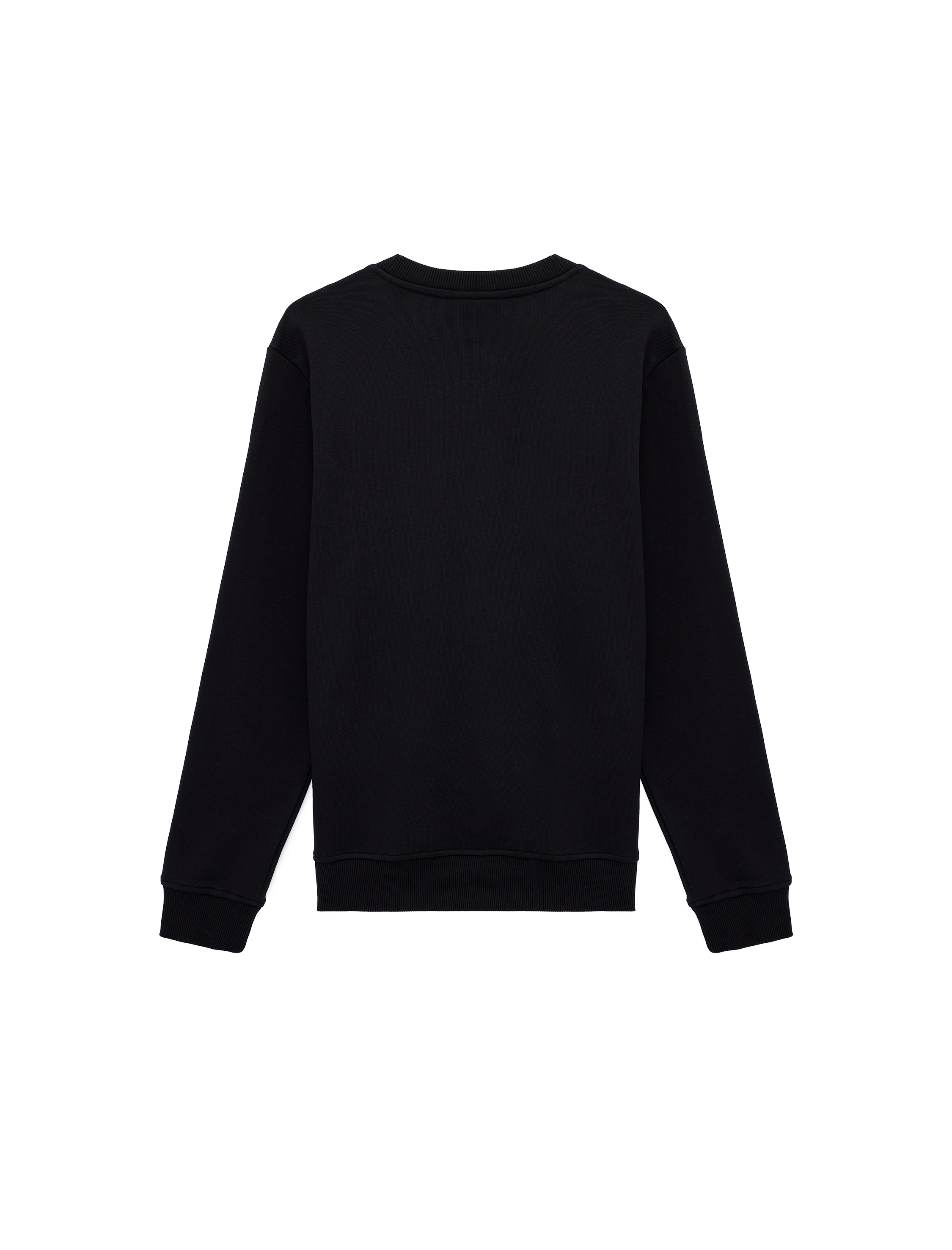   Uzun Kollu Bisiklet Yaka Pamuklu Baskılı Sweatshirt