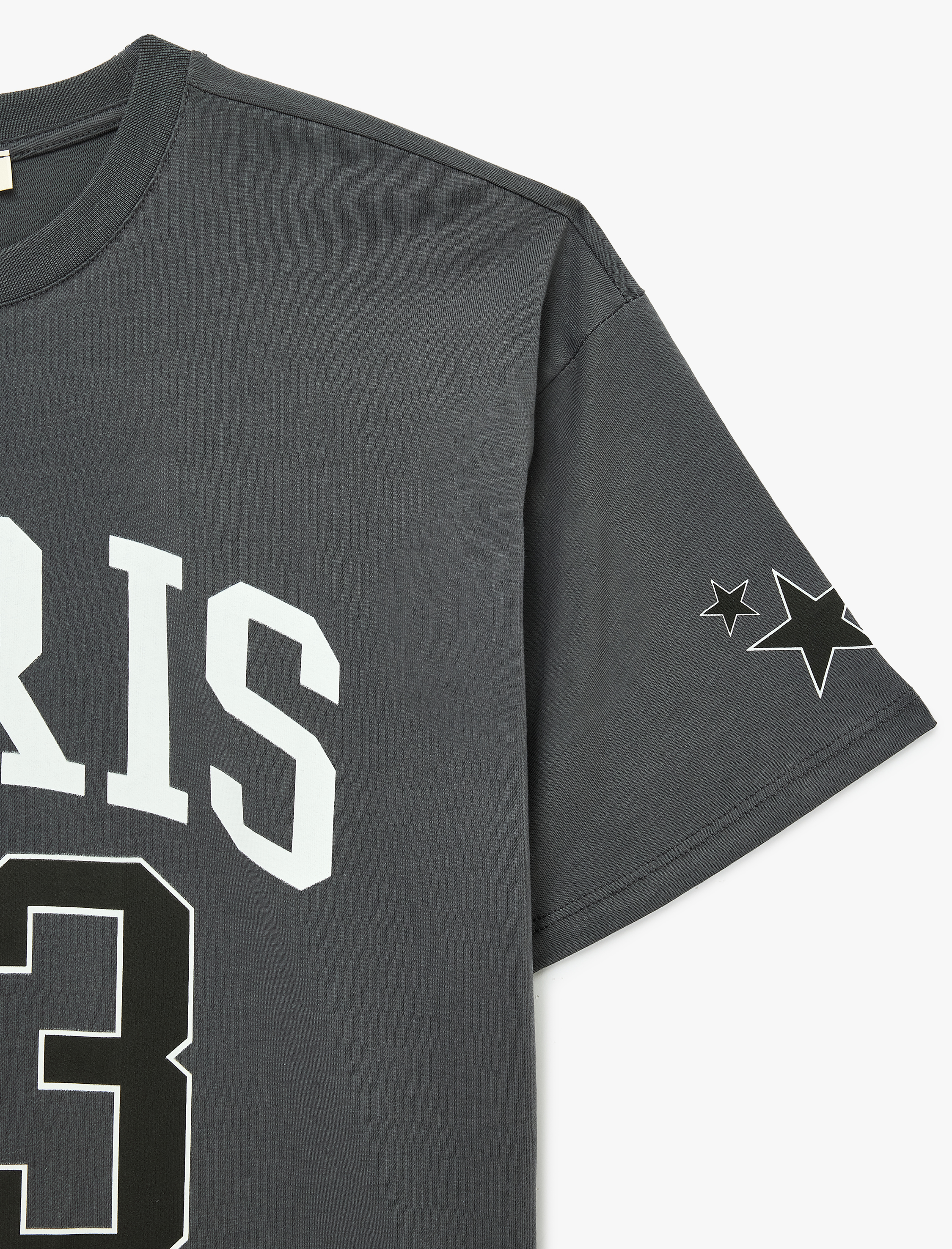   Kısa Kollu Bisiklet Yaka Baskılı Rahat Kalıp Tişört