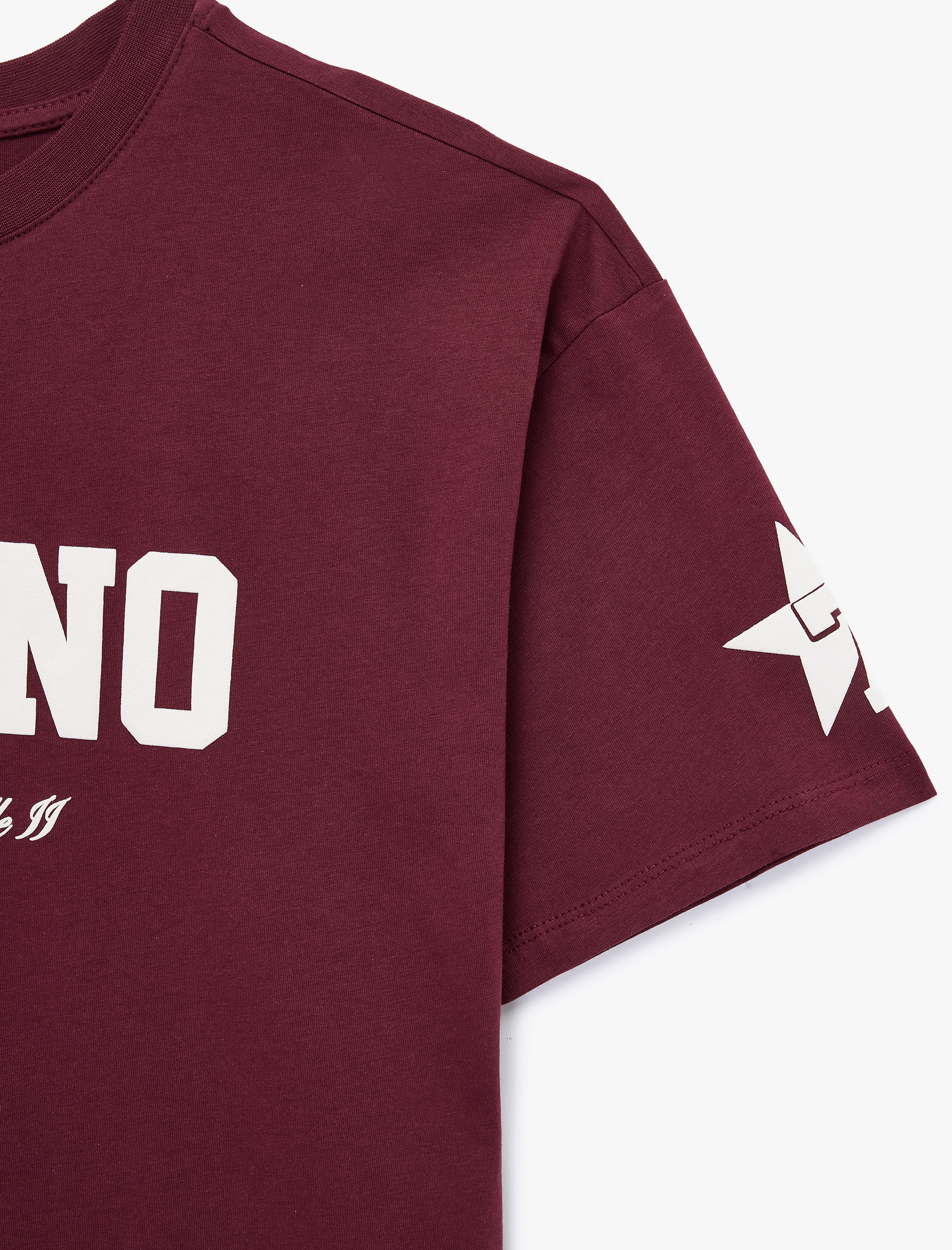   Bisiklet Yaka Rahat Kalıp Kısa Kollu Baskılı Pamuklu Tişört