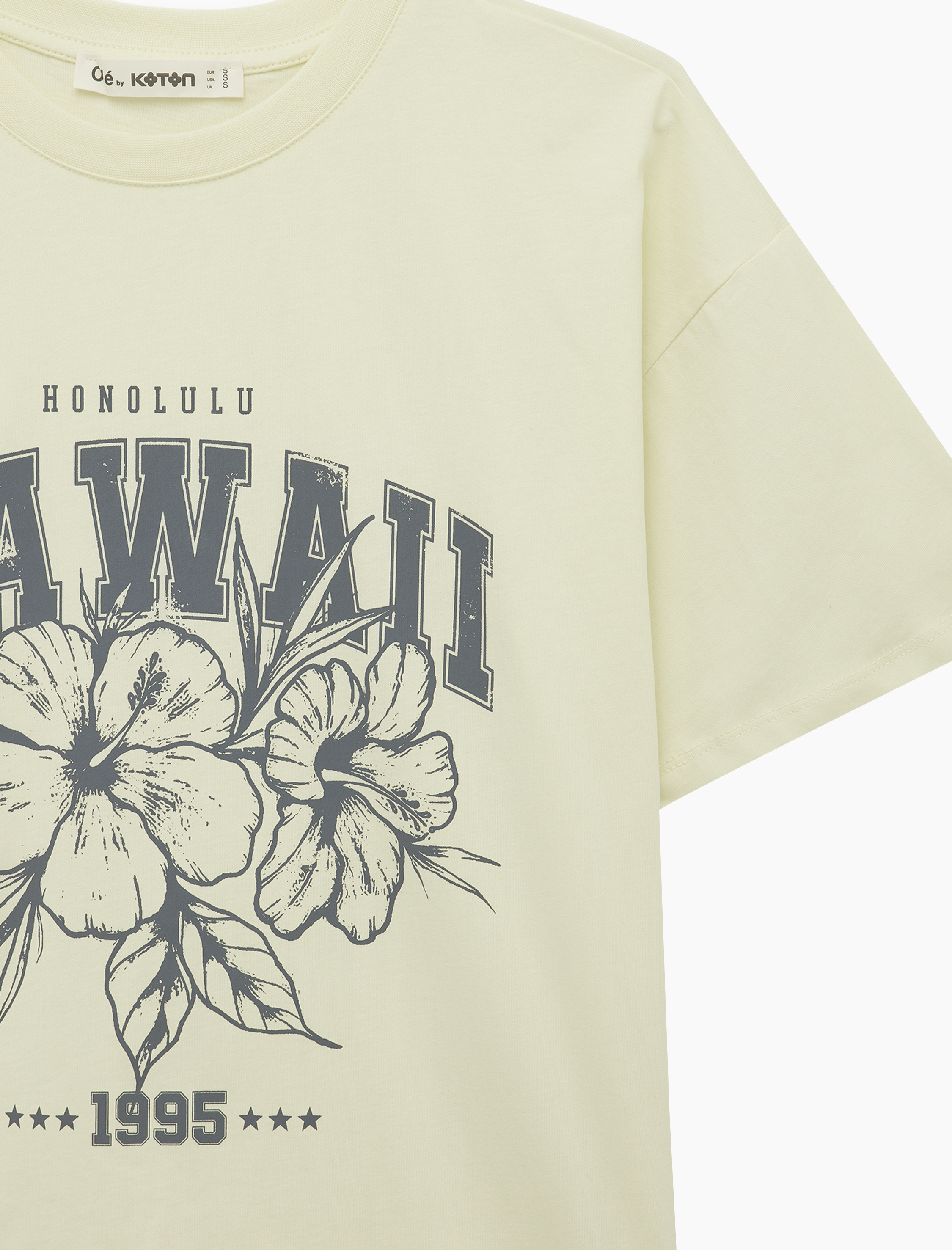   Rahat Kalıp Kısa Kollu Bisiklet Yaka Pamuklu Tişört