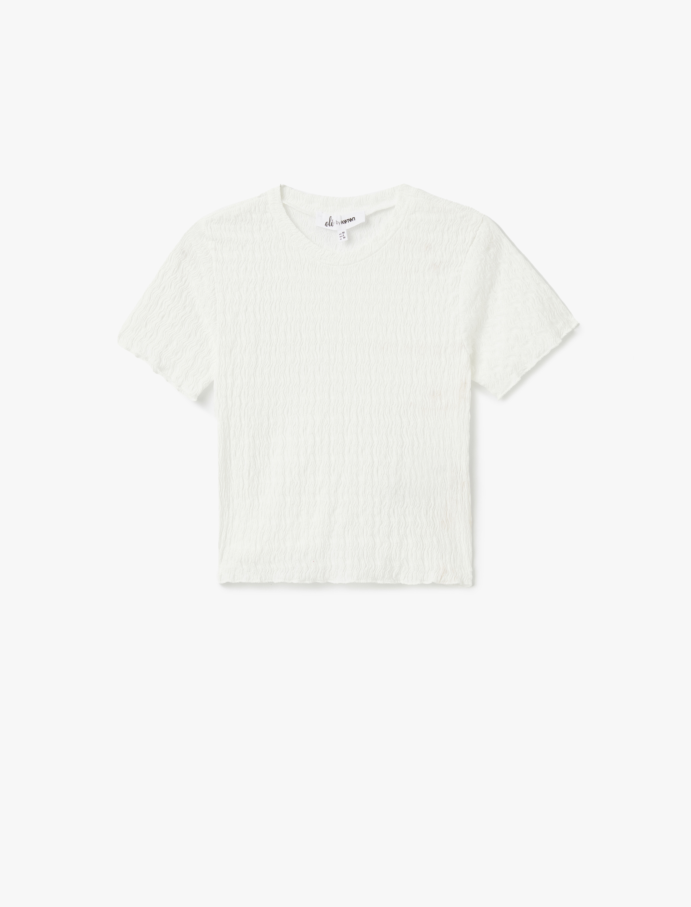   Basic Kısa Kollu Bisiklet Yaka Dokulu Crop Tişört Bürümcük