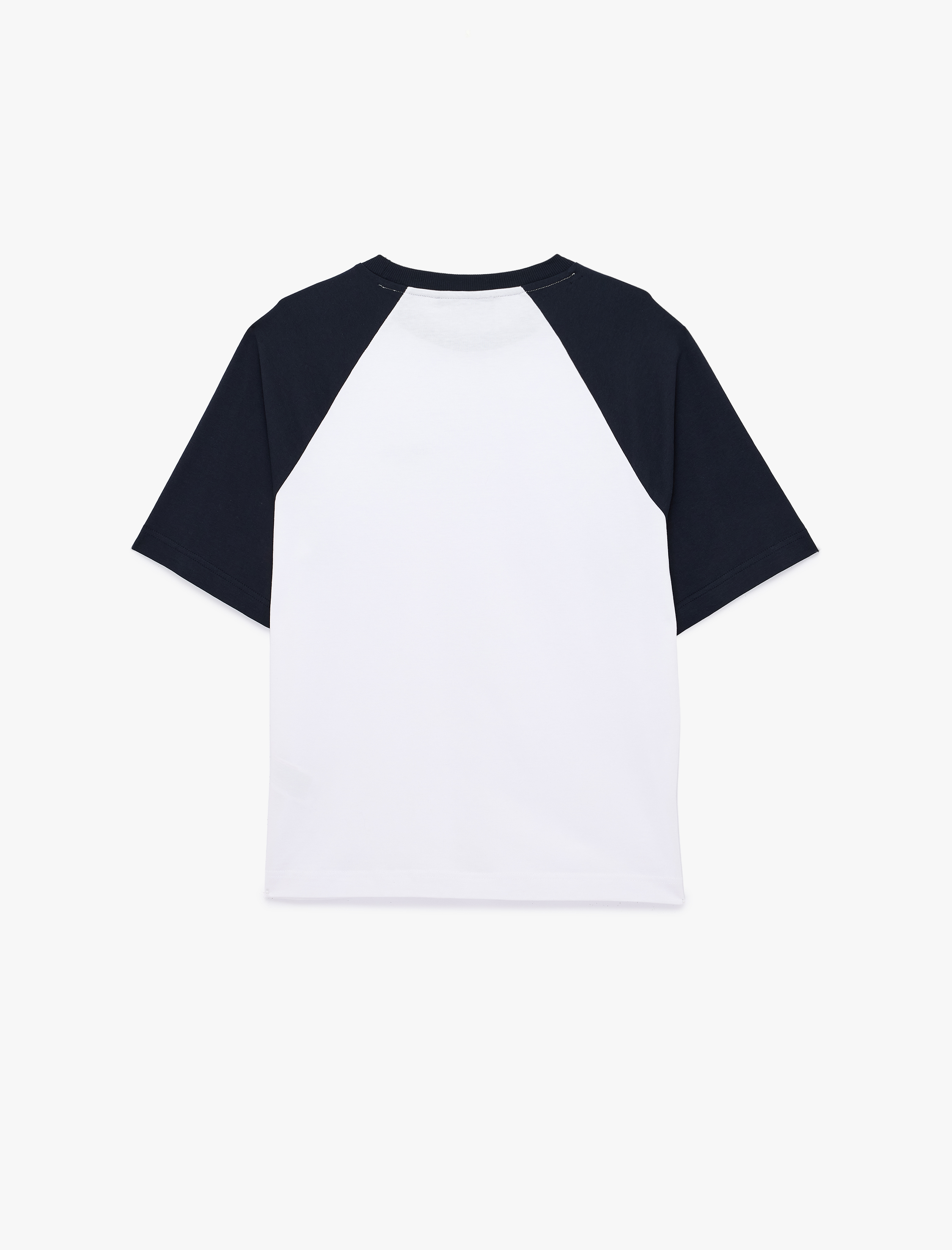   Regular Fit Renk Bloklu Kısa Kollu Bisiklet Yaka Pamuklu Baskılı Tişört