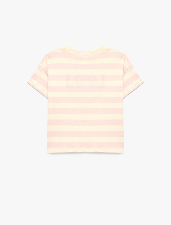 Kız Bebek Kısa Kollu Bisiklet Yaka Nakışlı Pamuklu Tişört