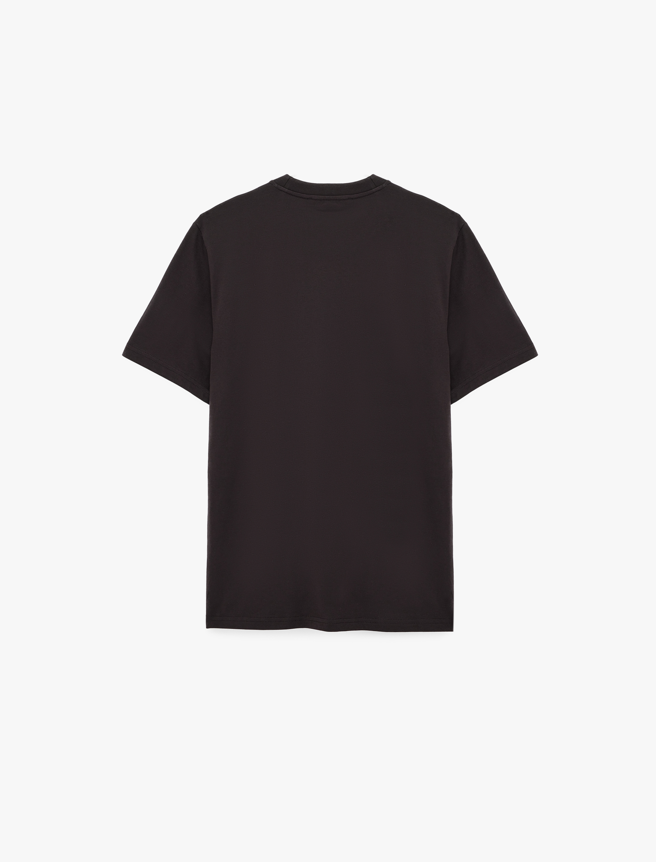   Regular Fit Bisiklet Yaka Pamuklu Basic Kısa Kollu Tişört