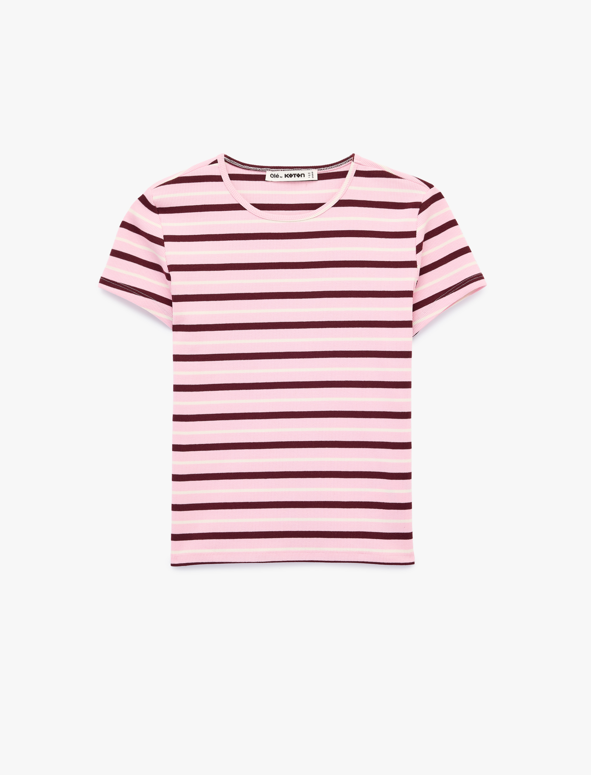   Çizgili Pamuklu Bisiklet Yaka Kısa Kollu Slim Fit Tişört