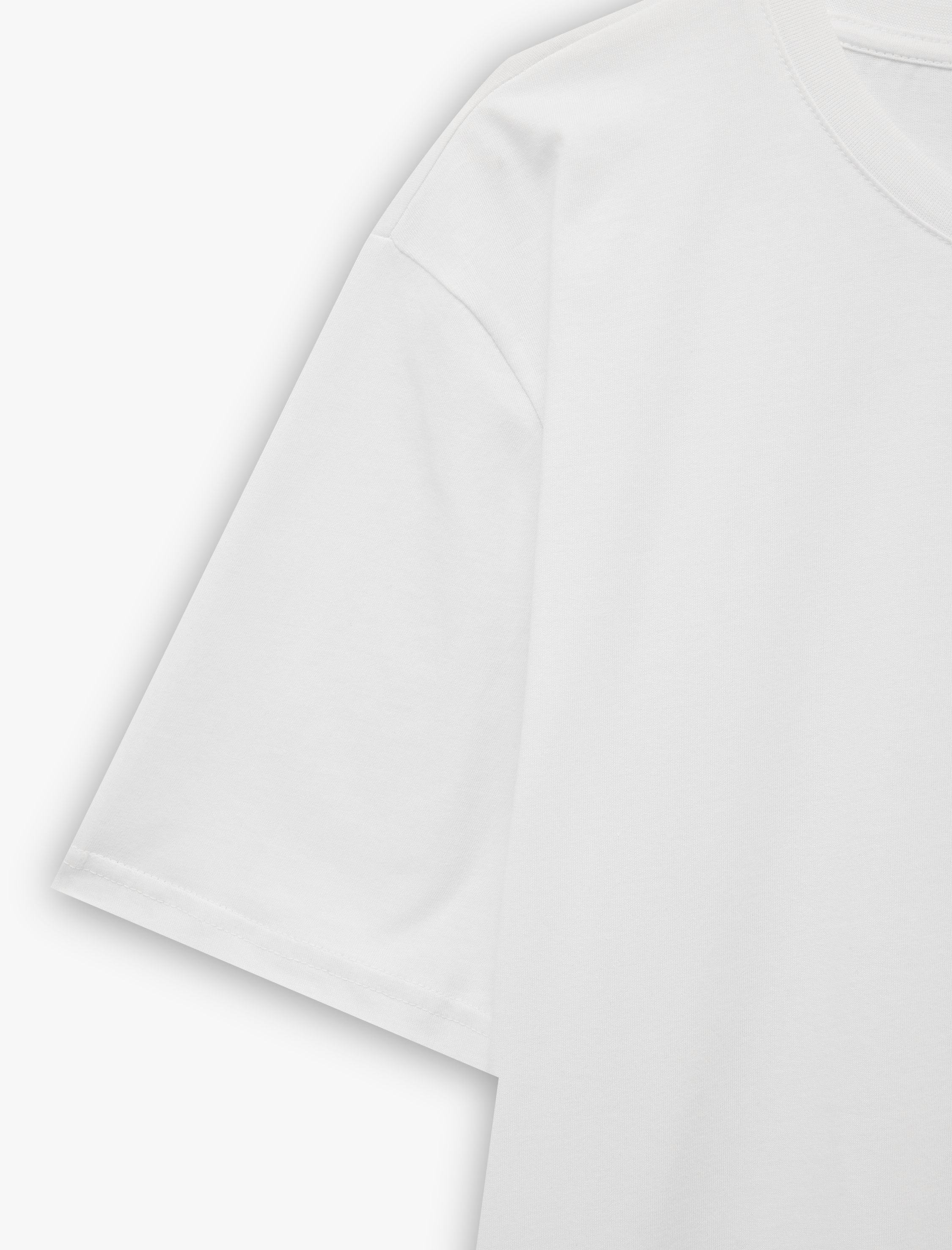   Regular Fit Kısa Kollu Bisiklet Yaka Pamuklu Basic Tişört