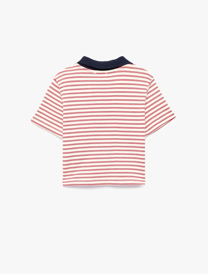 Kız Çocuk Nakış Detaylı Kısa Kollu Pamuklu Renk Kontrastlı Polo Yaka Crop Tişört