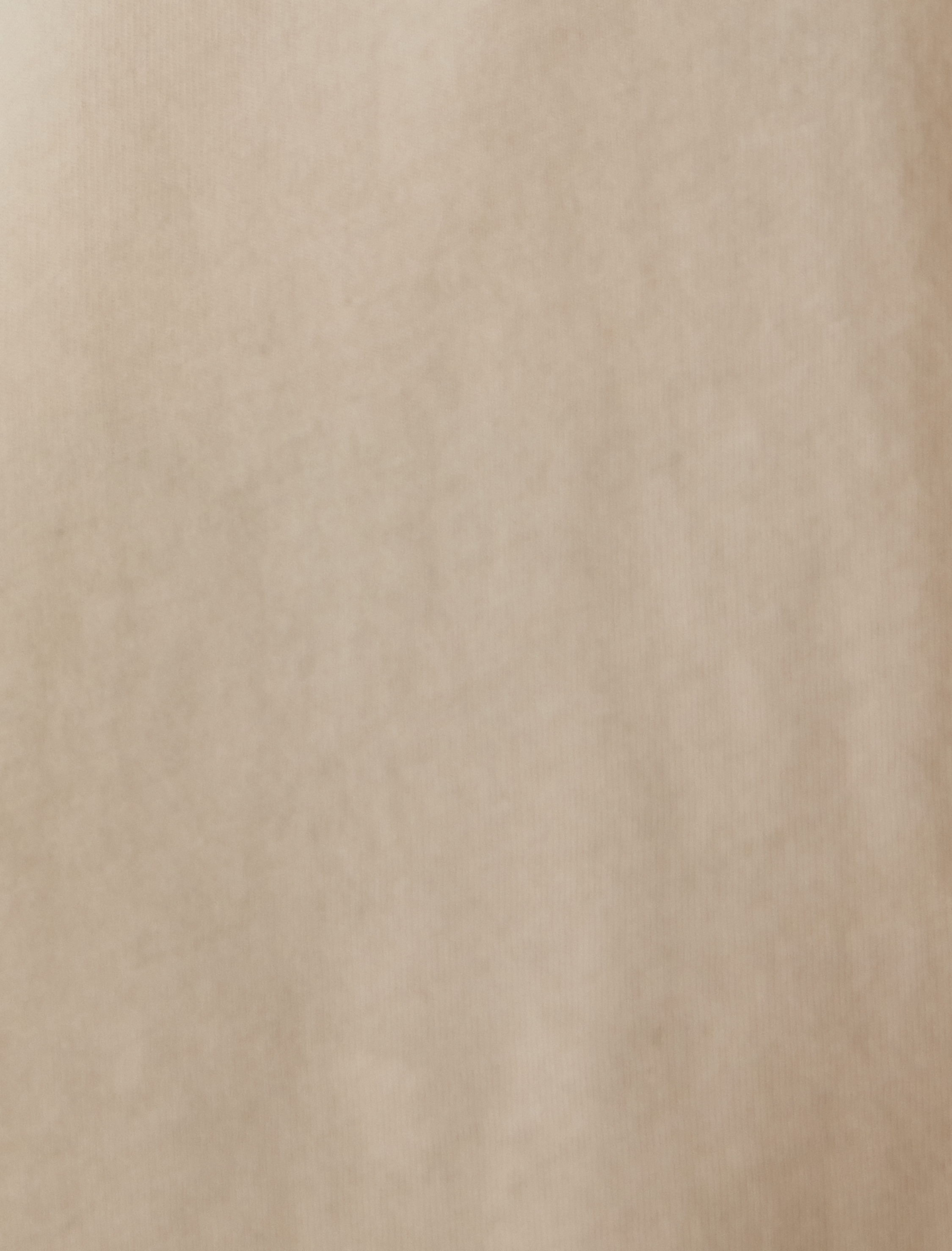   Baskılı Tişört Bisiklet Yaka Kısa Kollu Pamuklu