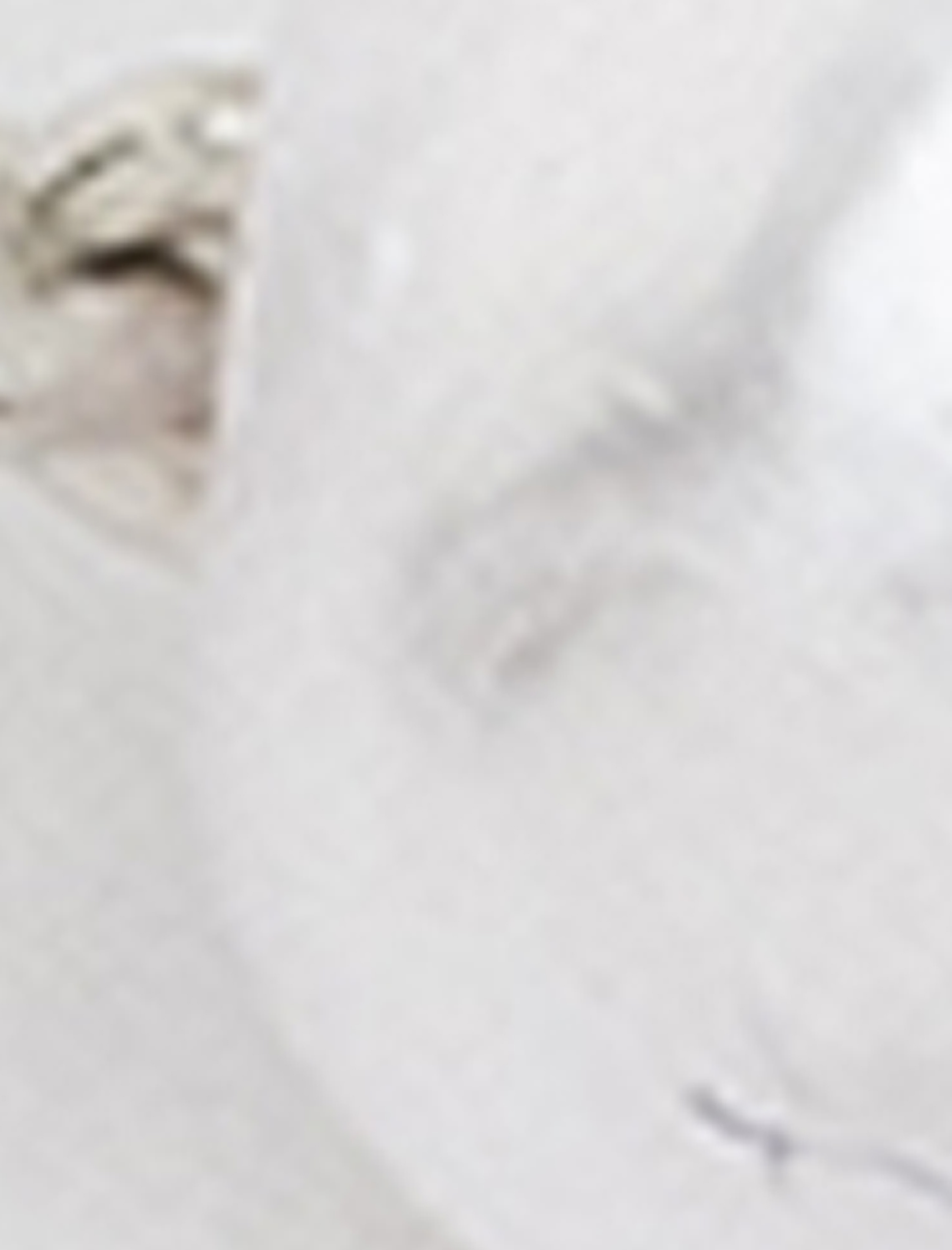  Kadın Fiyonk Detaylı Taşlı İnci Boncuklu Broş - Koton X Sibil Çetinkaya