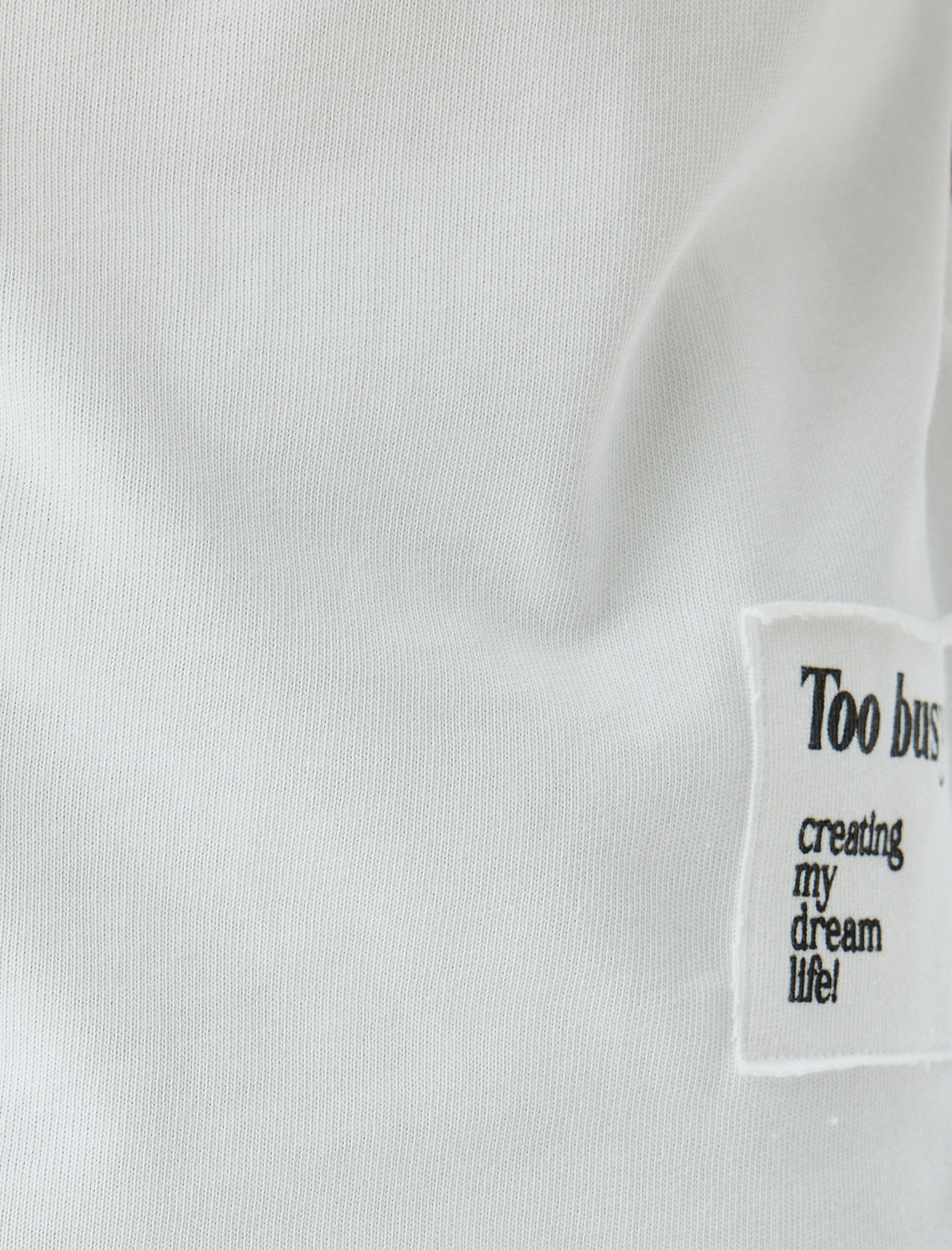   Baskılı Aplike Detaylı Pamuklu Kısa Kollu Bisiklet Yaka Tişört