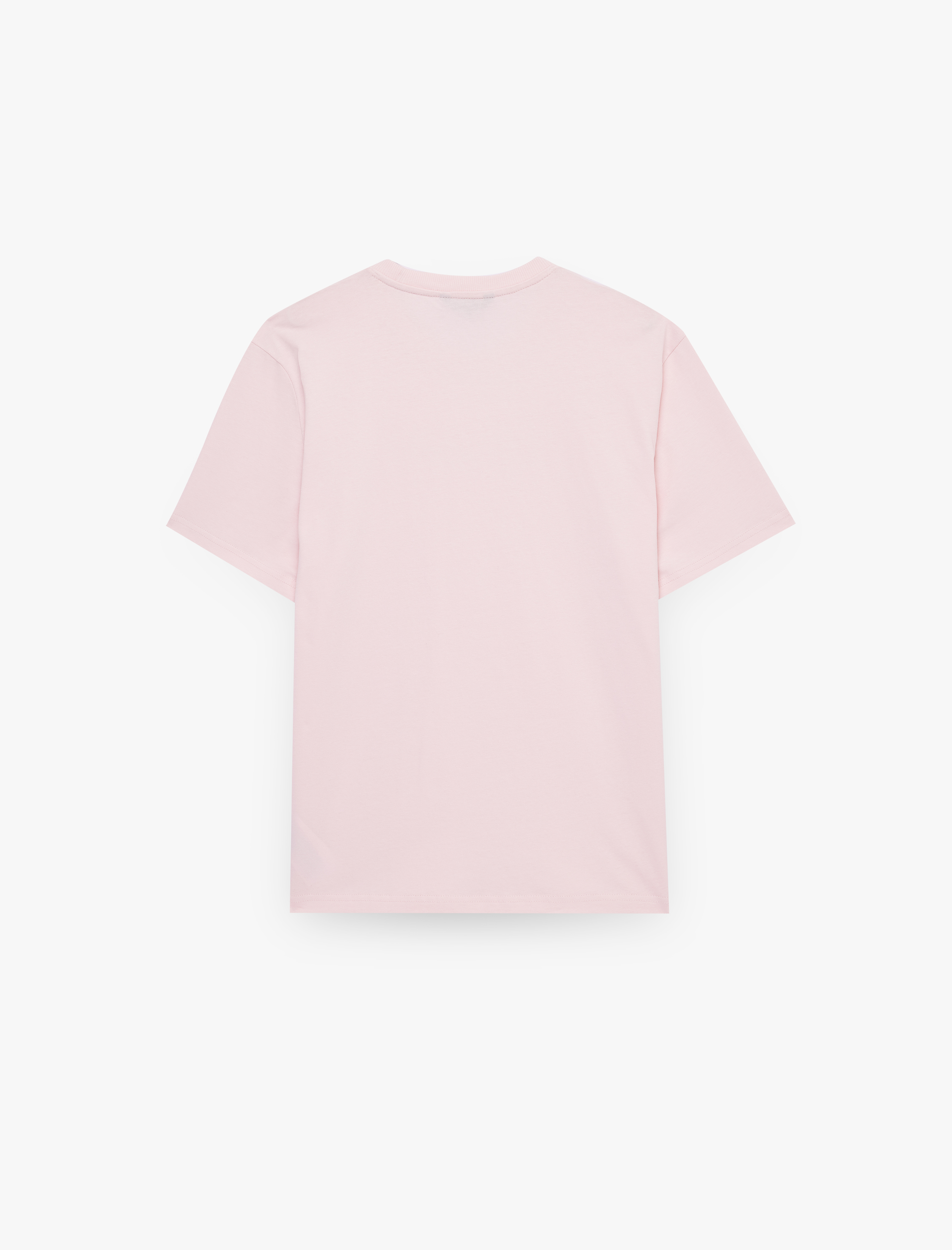   Pamuklu Regular Fit Kısa Kollu Bisiklet Yaka Baskılı Tişört