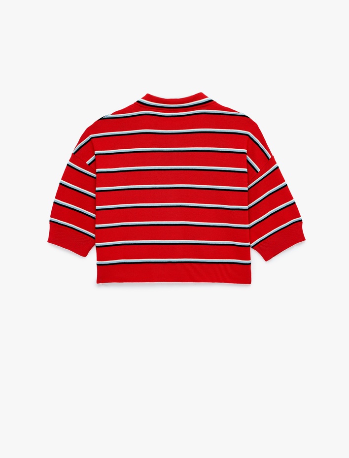  Rahat Kalıp Çizgili Düğmeli Kısa Kollu Polo Yaka Crop Triko Kazak