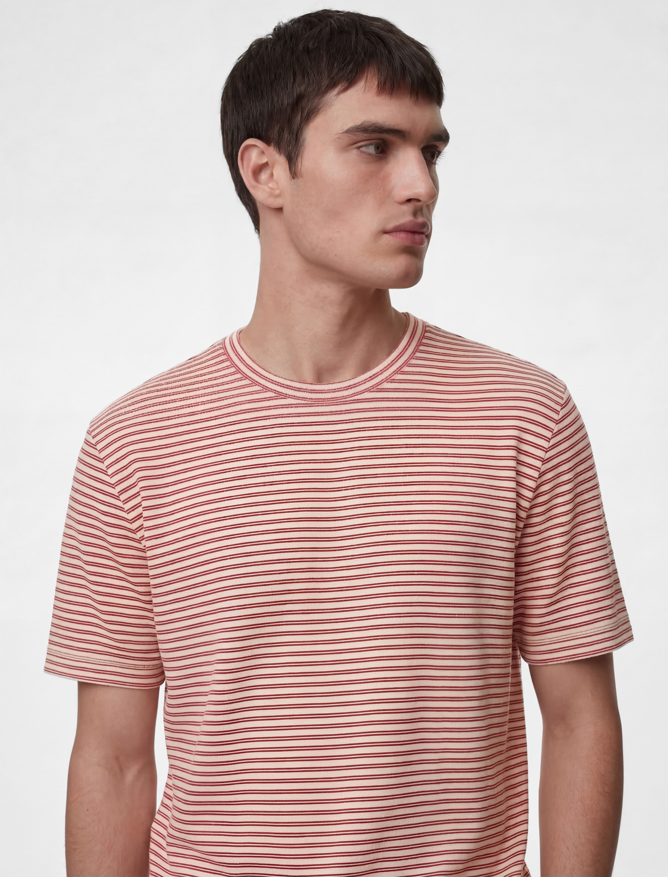 Regular Fit Kısa Kollu Pamuklu Bisiklet Yaka Çizgili Tişört - Görsel 2