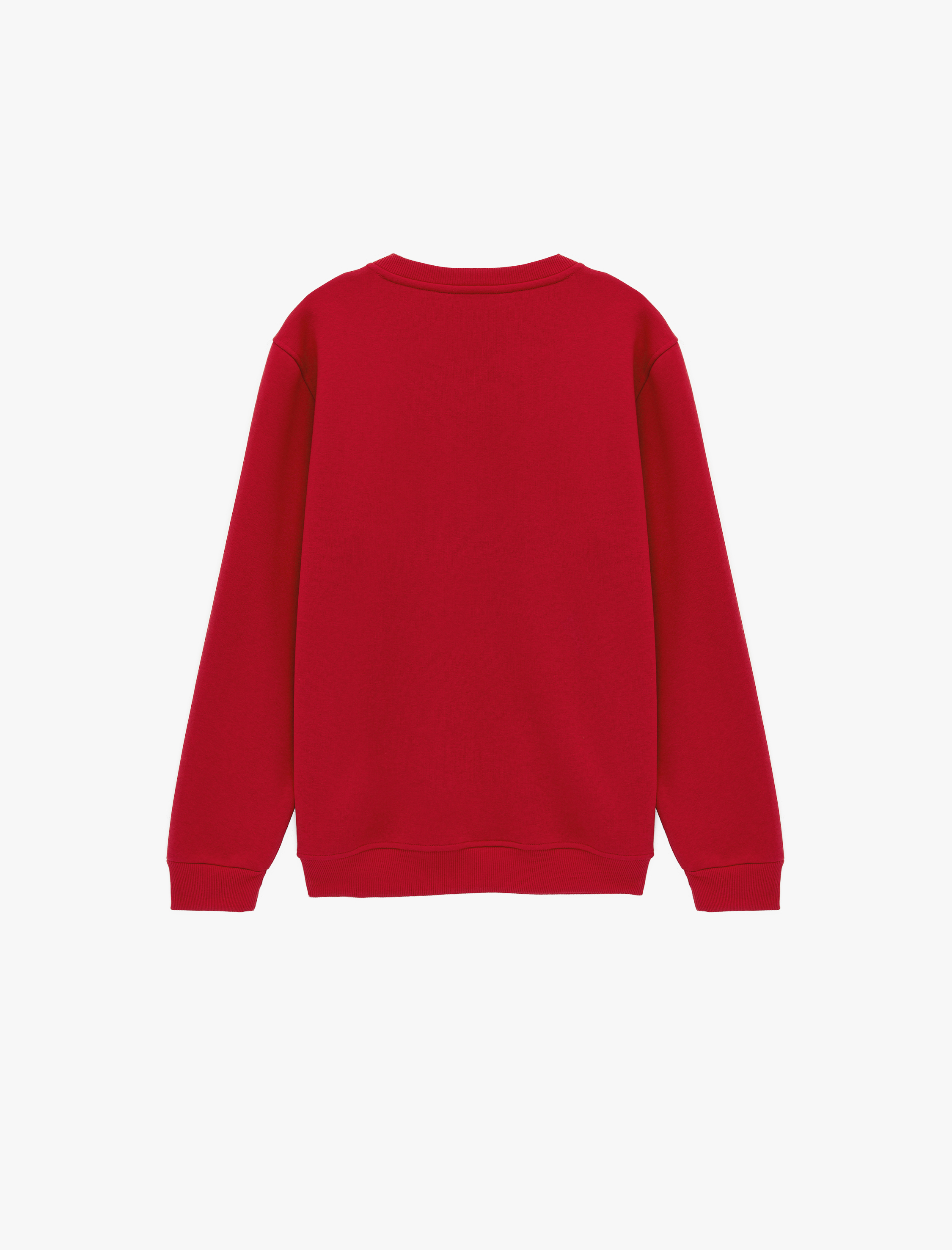 Uzun Kollu Şardonlu Yarım Fermuarlı Sweatshirt - Görsel 4