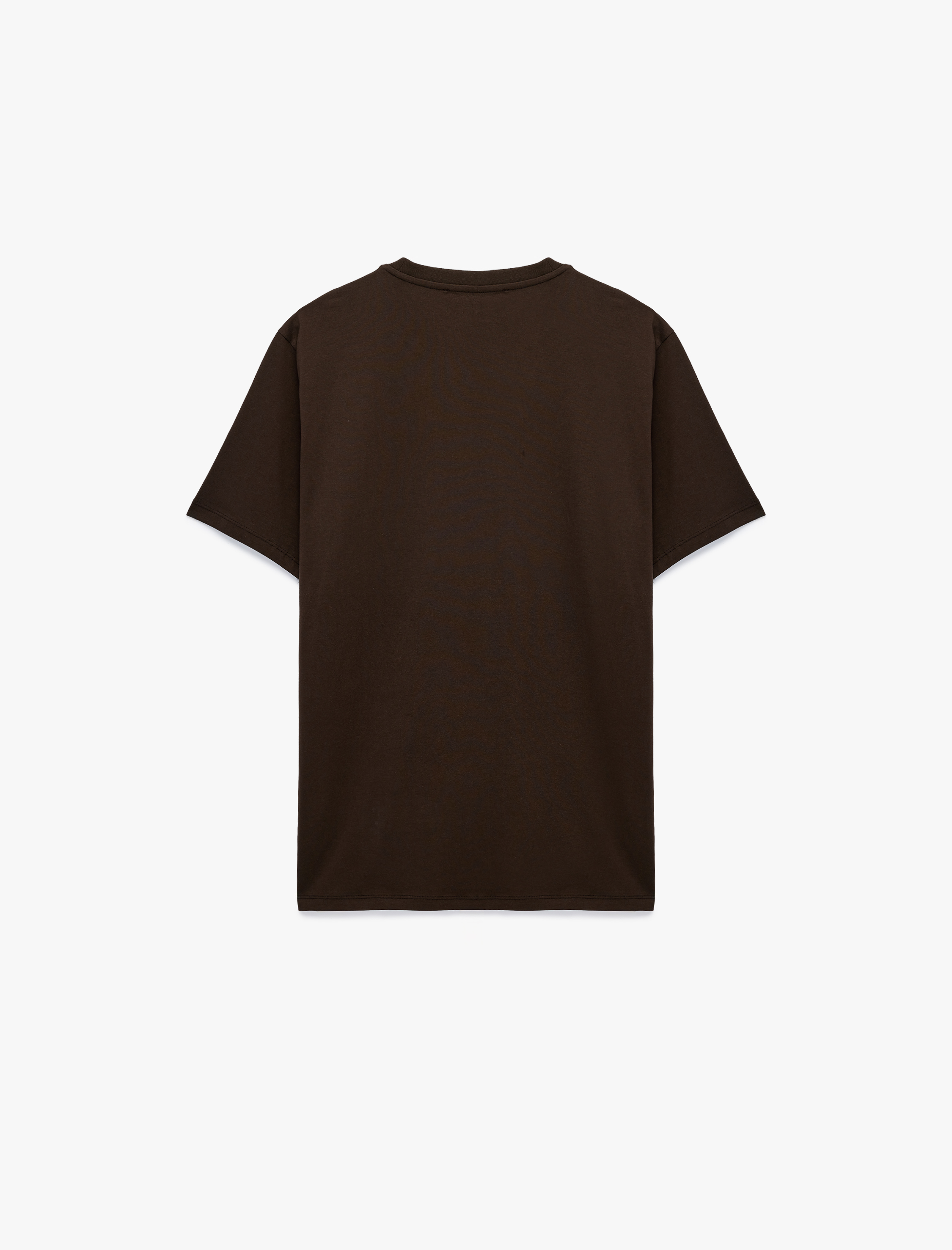   Regular Fit Kısa Kollu Bisiklet Yaka Basic Pamuklu Tişört