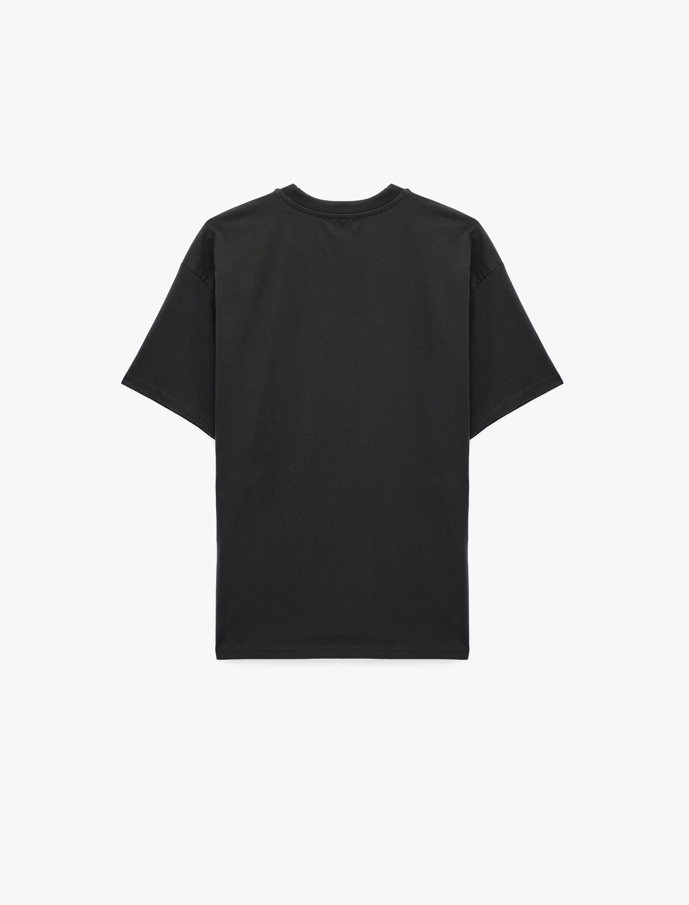   Rahat Kalıp Kısa Kollu Pamuklu Bisiklet Yaka Nakışlı Tişört