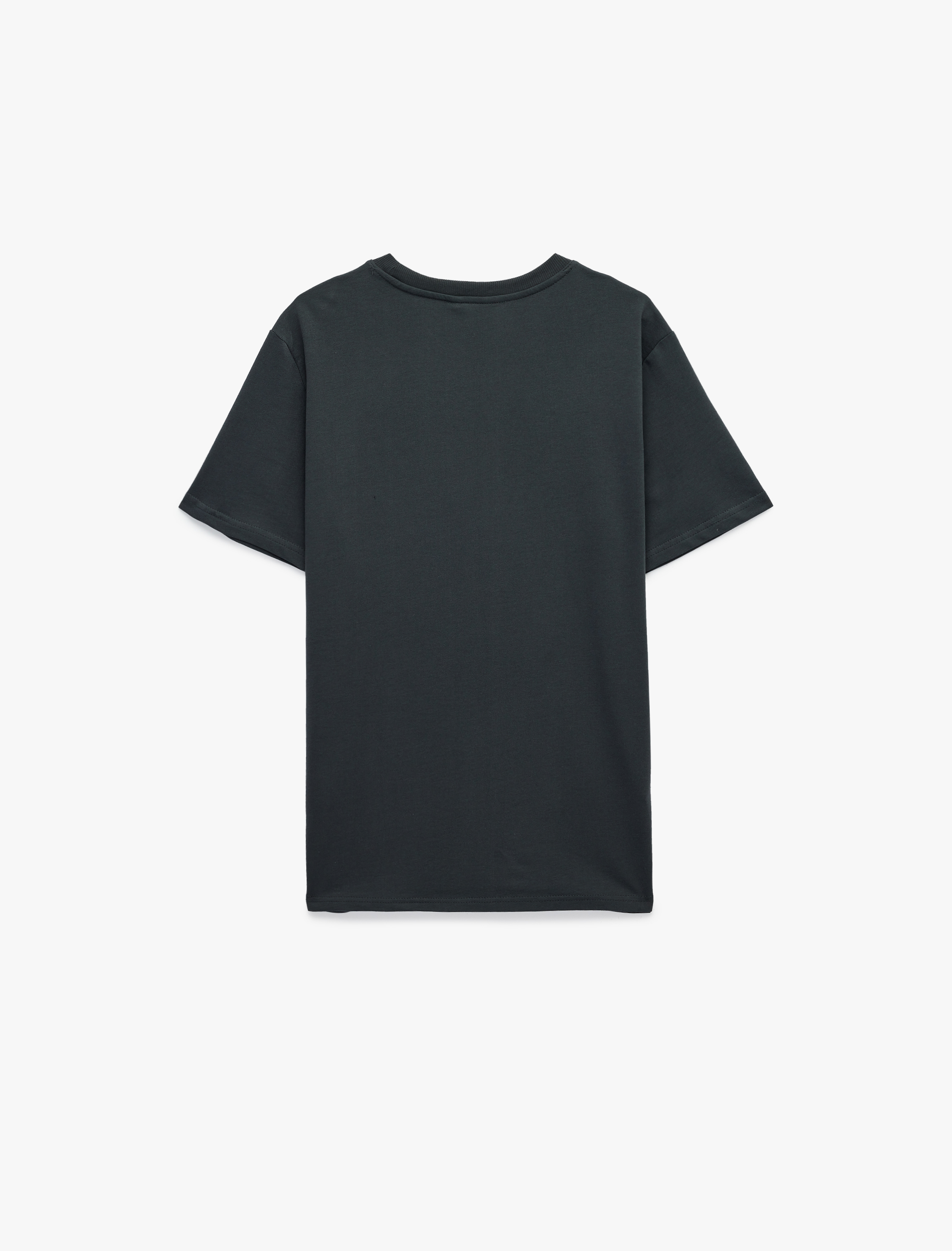   Regular Fit Kısa Kollu Bisiklet Yaka Baskılı Spor Tişört