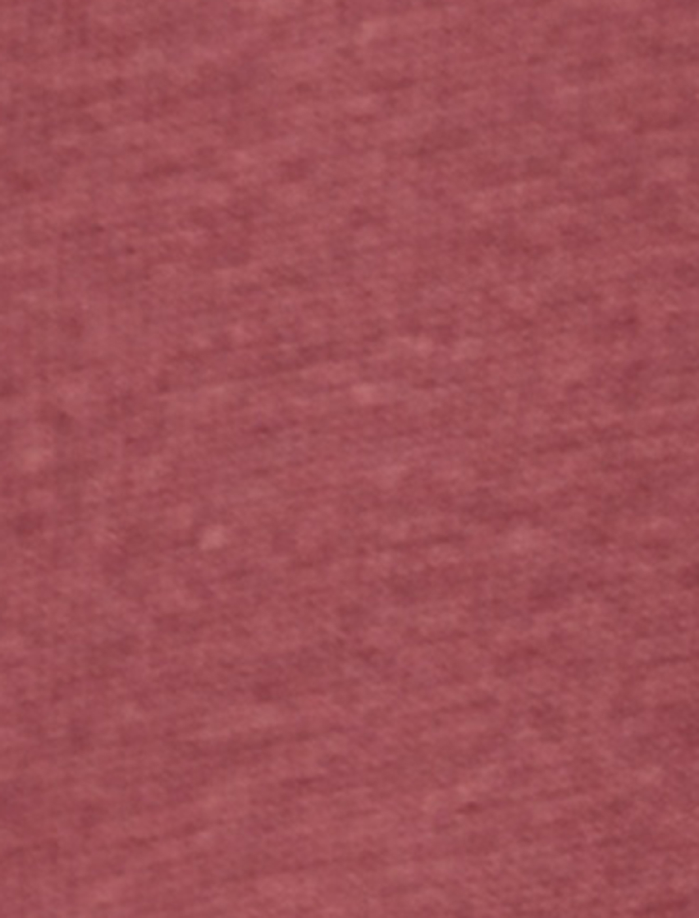   Regular Fit Bisiklet Yaka Pamuklu Basic Kısa Kollu Tişört