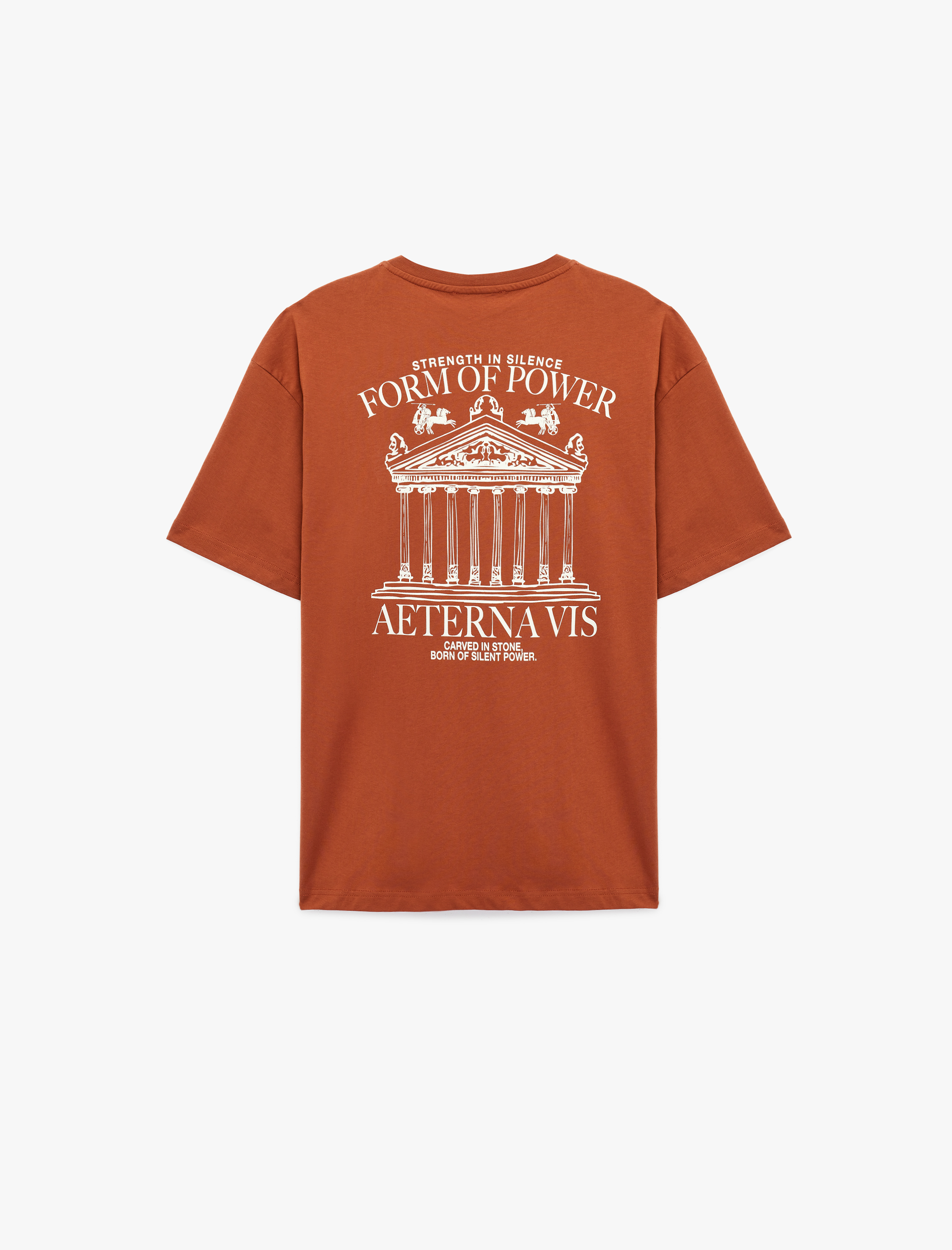   Kısa Kollu Bisiklet Yaka Pamuklu Oversize Arkası Baskılı Tişört