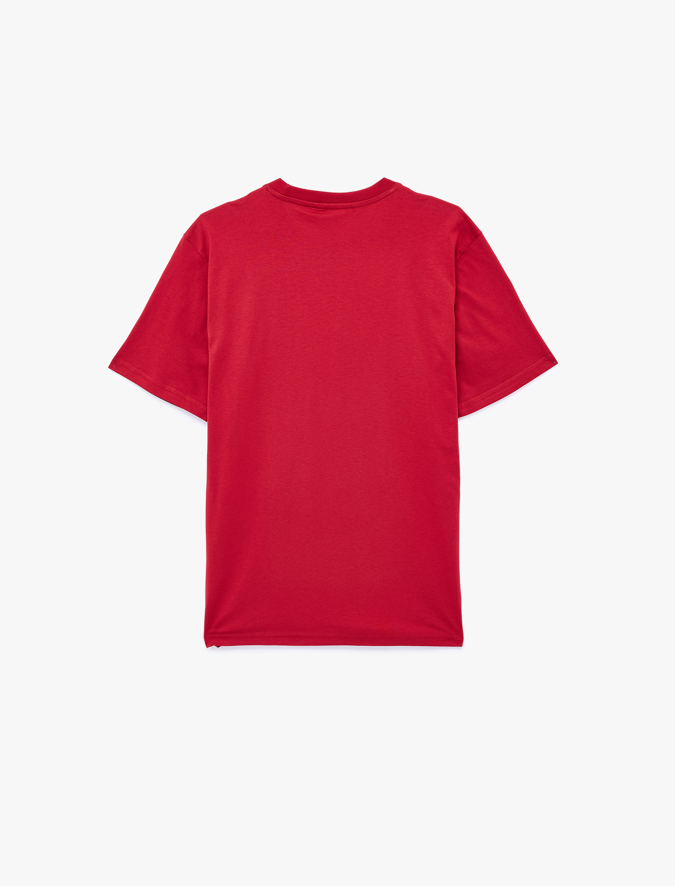   Regular Fit Kısa Kollu Bisiklet Yaka Pamuklu Basic Tişört