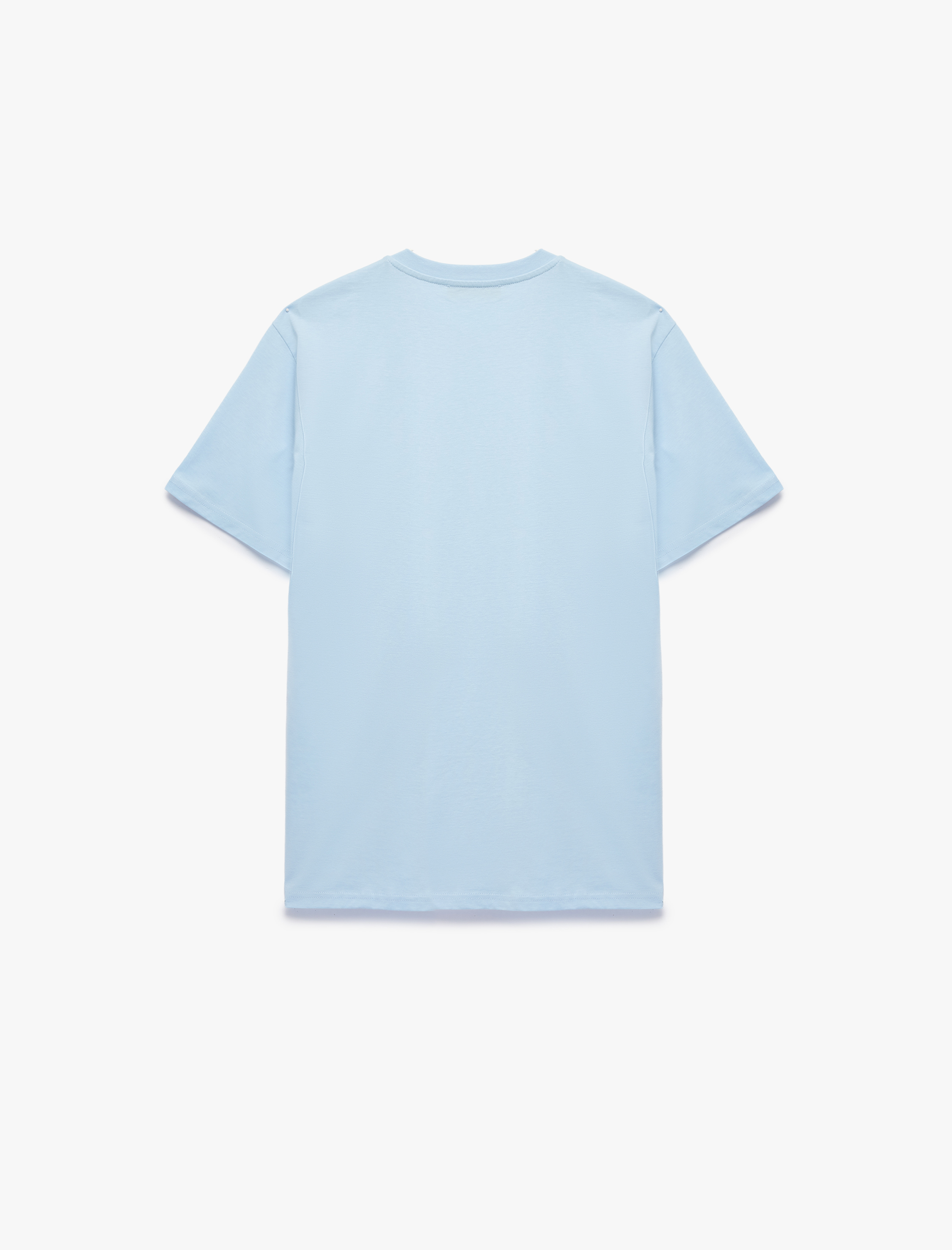   Regular Fit Bisiklet Yaka Kısa Kollu Baskılı Tişört