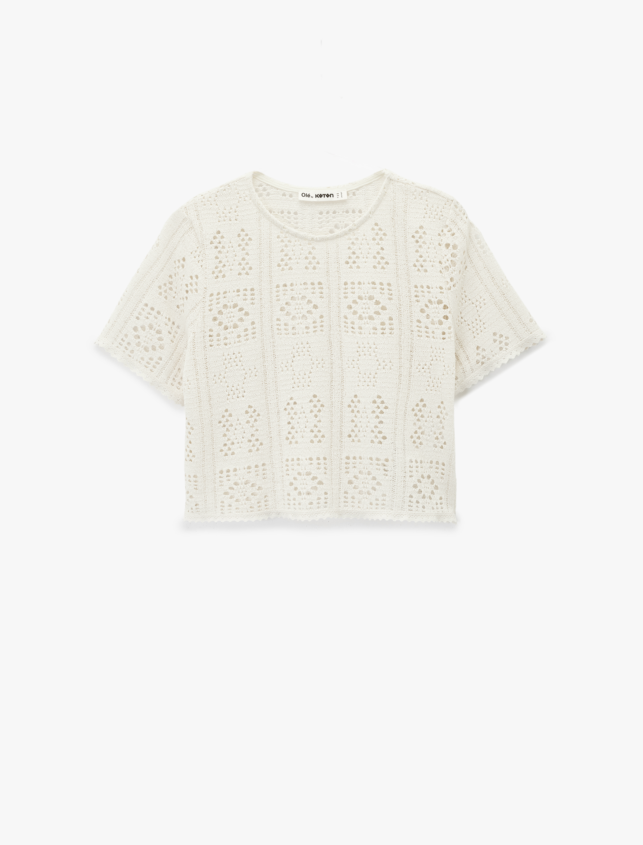   Regular Fit Bisiklet Yaka Kısa Kollu Kroşe Crop Tişört