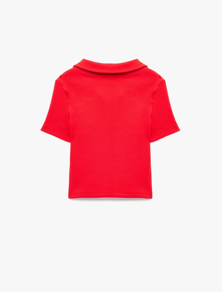 Kız Çocuk Pamuklu Kısa Kollu Polo Yaka Tişört