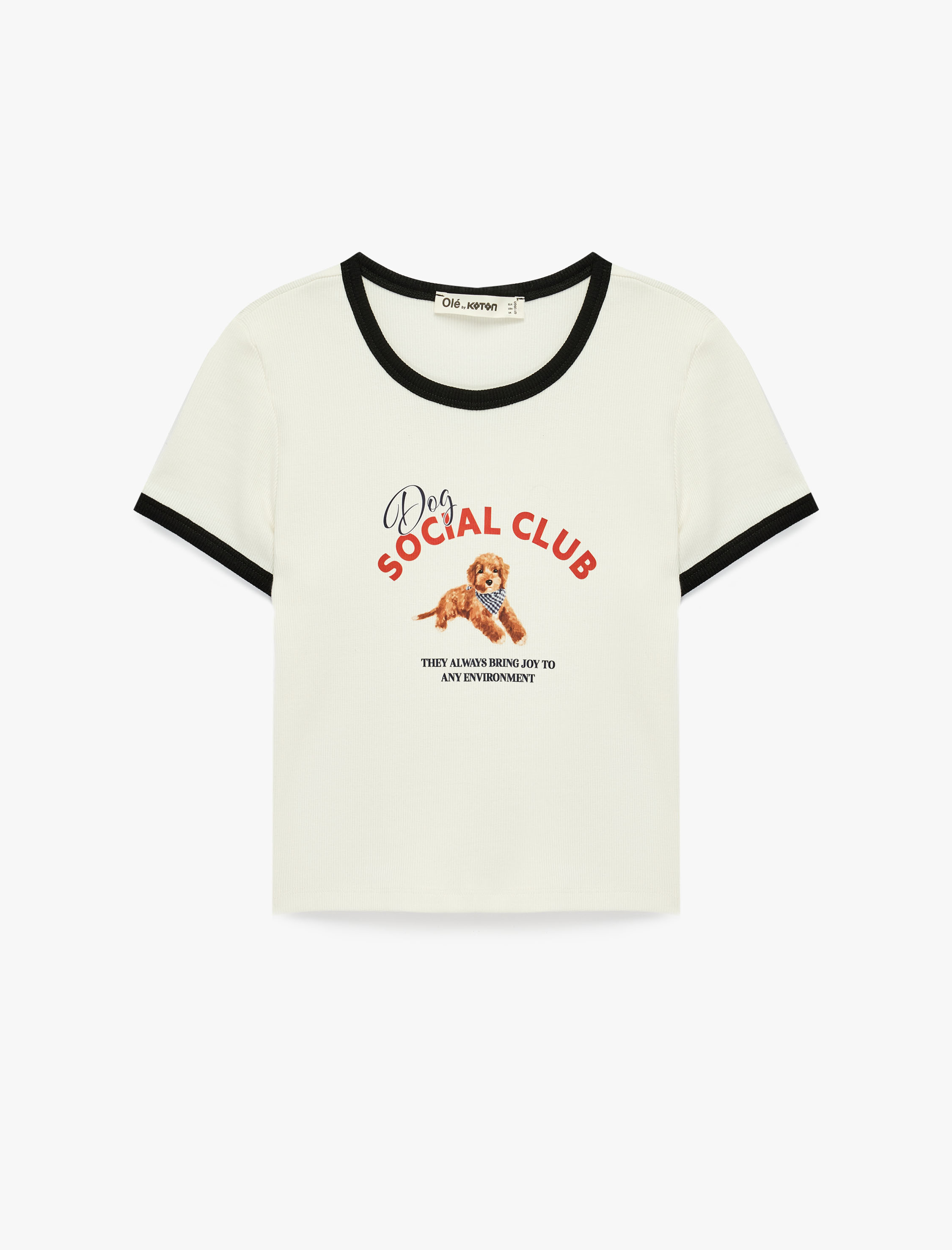   Pamuklu Kısa Kollu Biyeli Bisiklet Yaka Köpek Baskılı Tişört