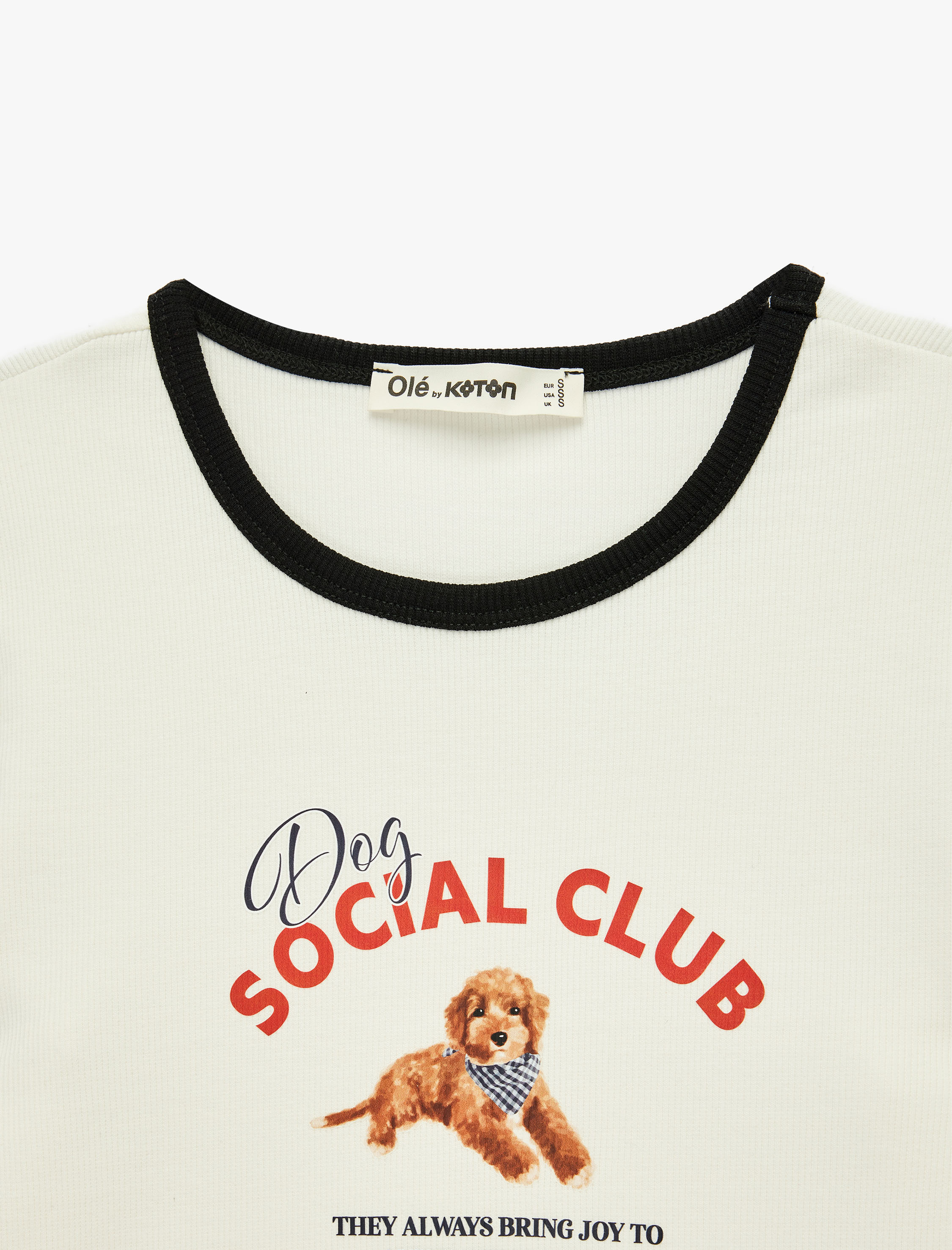   Pamuklu Kısa Kollu Biyeli Bisiklet Yaka Köpek Baskılı Tişört