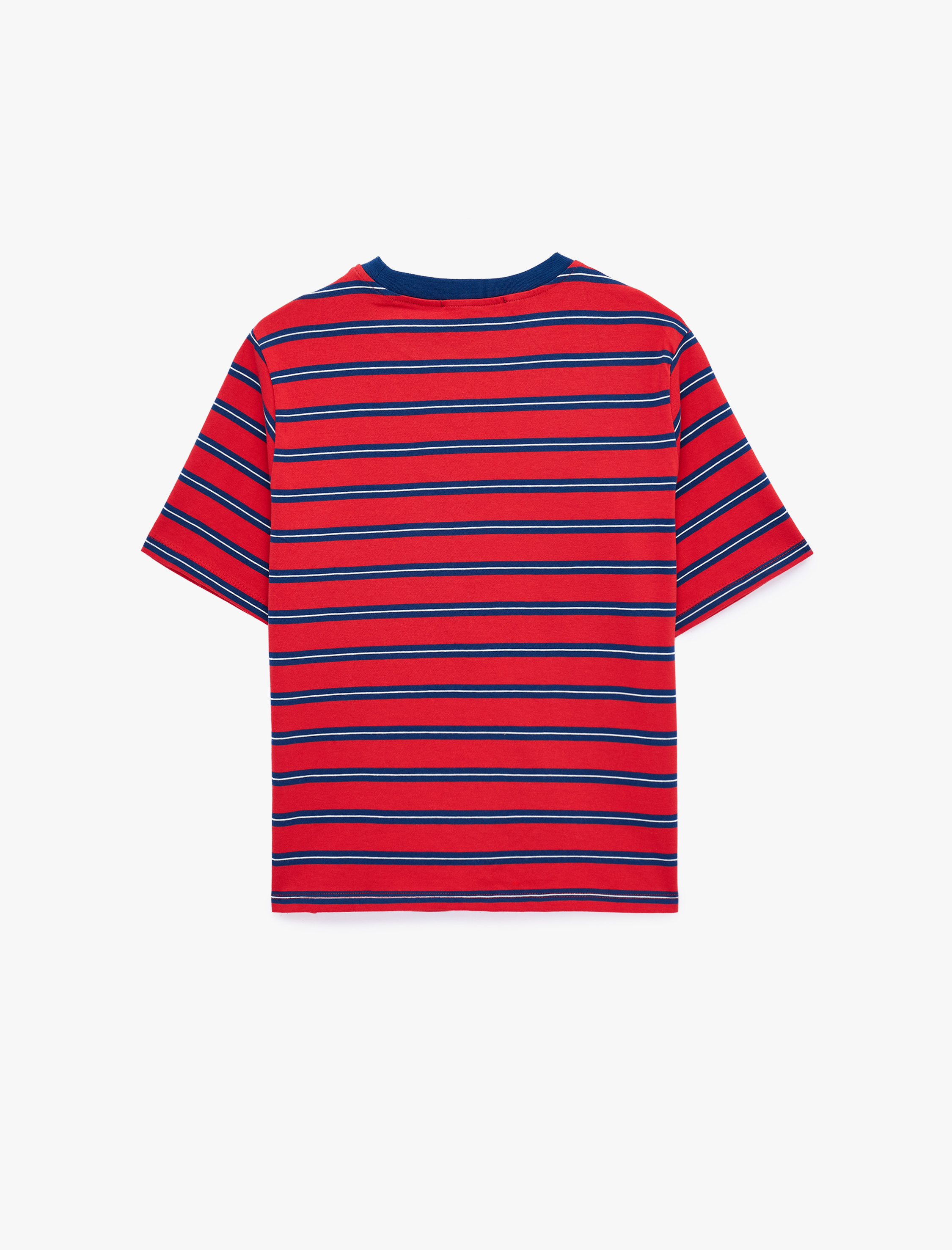   Pamuklu Regular Fit Kısa Kollu Bisiklet Yaka Çizgili Tişört