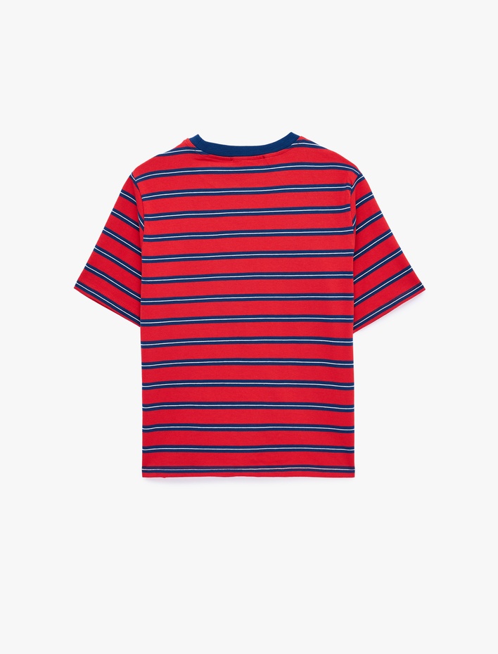  Pamuklu Regular Fit Kısa Kollu Bisiklet Yaka Çizgili Tişört