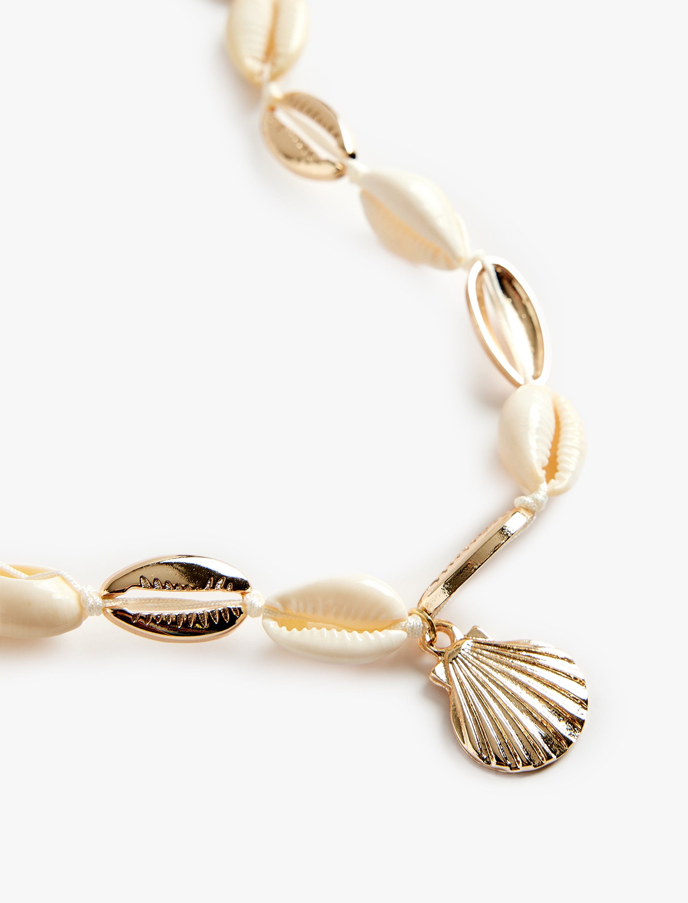  Kadın Deniz Kabuğu Kolye