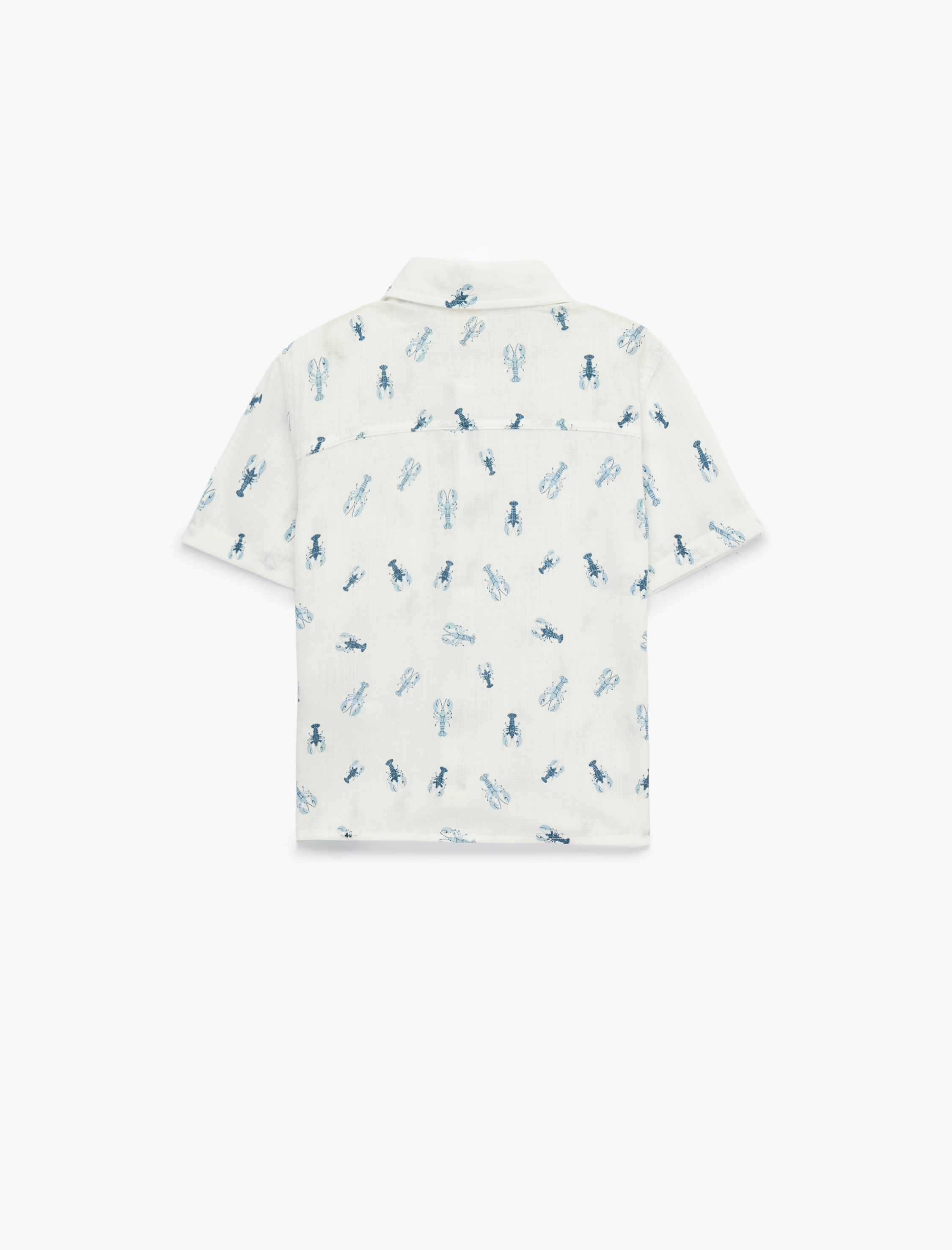  Erkek Bebek SHIRTS SS