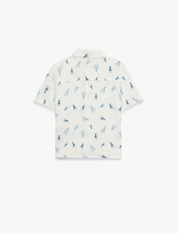 Erkek Bebek SHIRTS SS