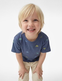 Pamuklu Bisiklet Yaka Kısa Kollu Dinozor Baskılı Tişört