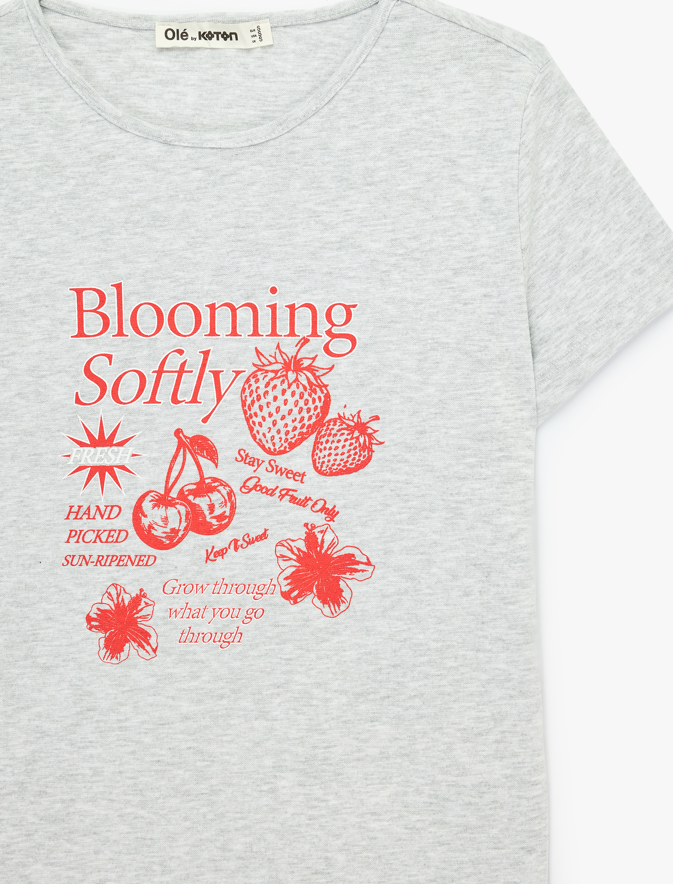 Slim Fit Kısa Kollu Bisiklet Yaka Meyve Baskılı Tişört - Görsel 5